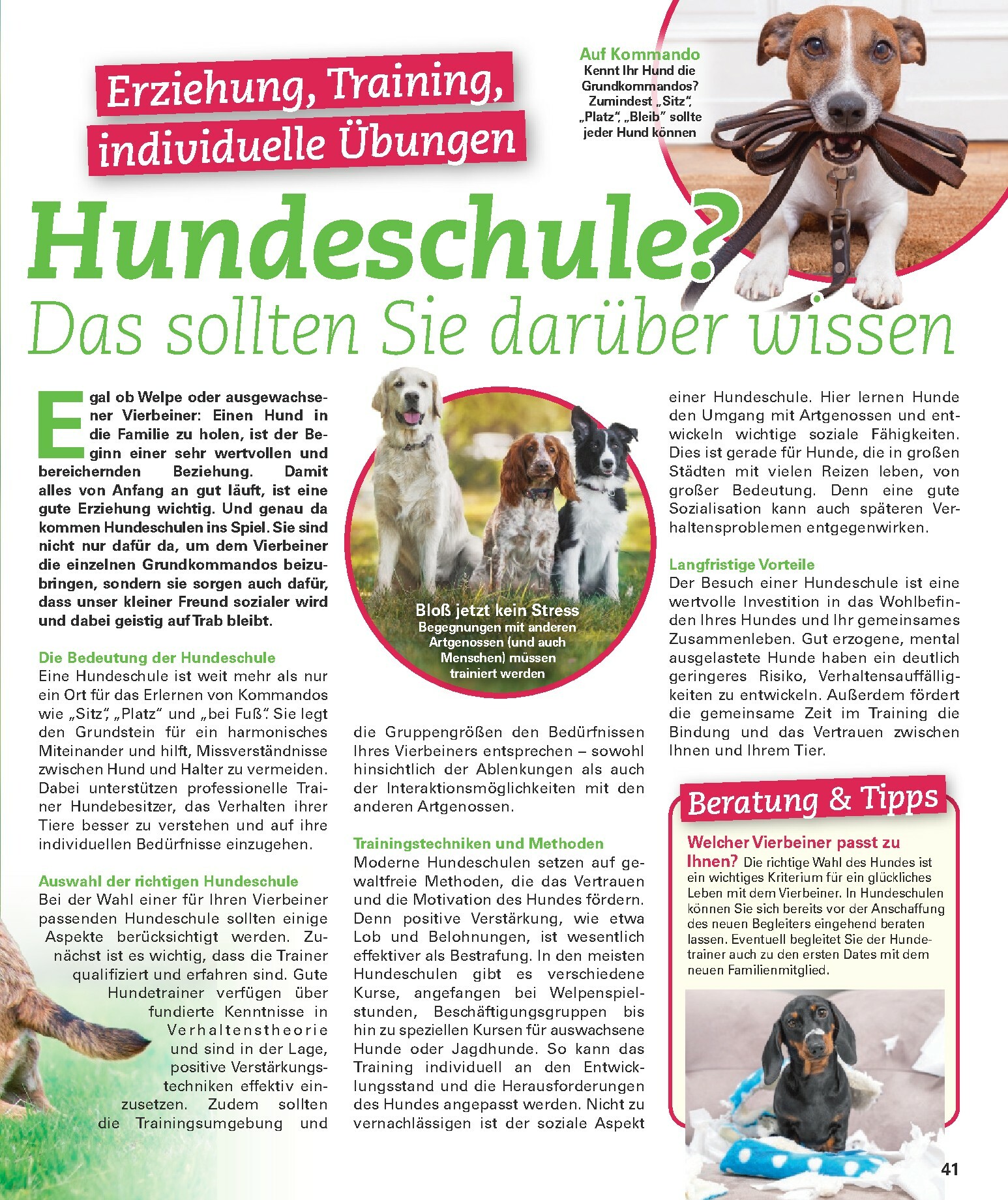 poco - Poco-Prospekt gültig vom 16.02.2026 bis 31.05.2026 - page: 41