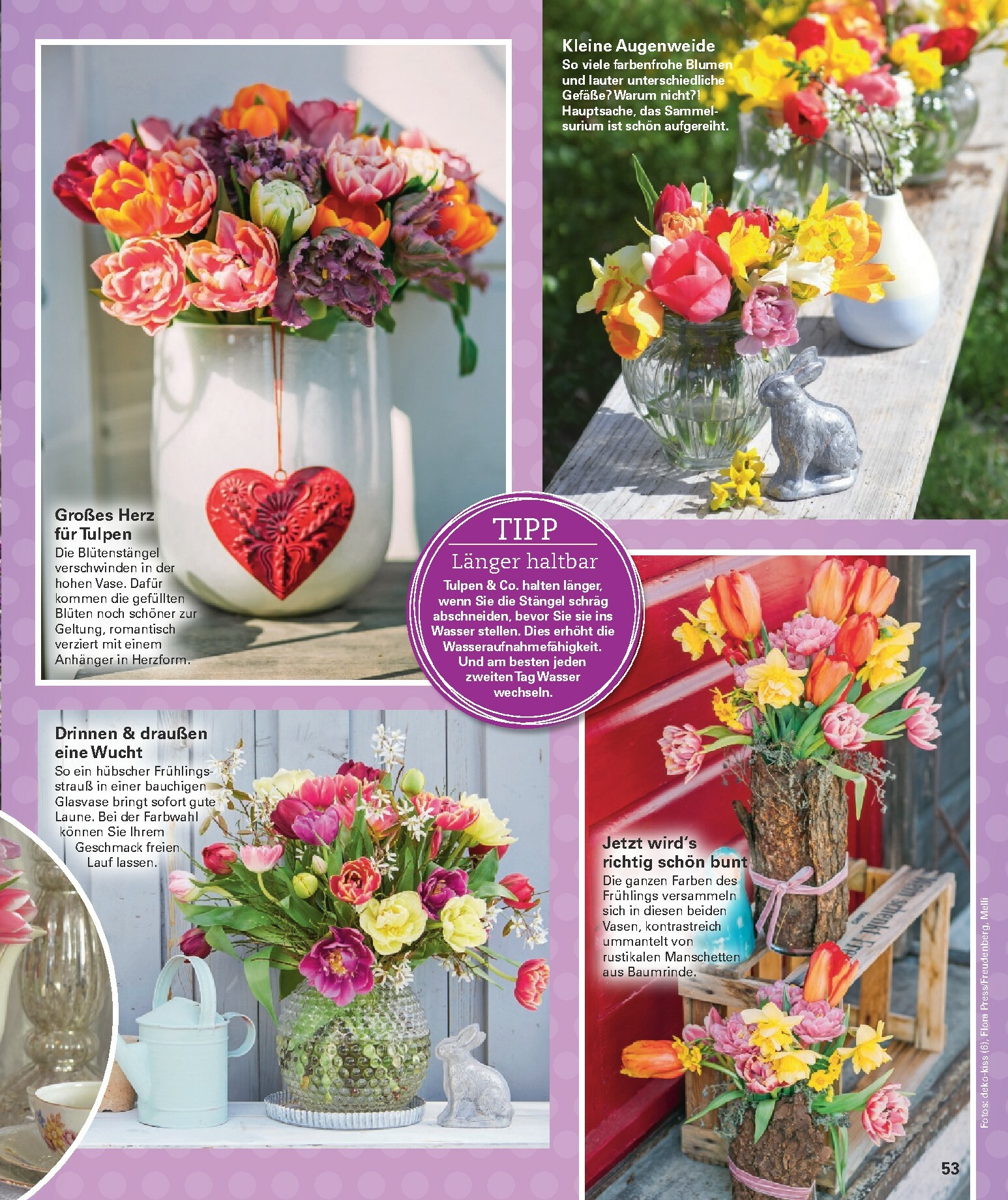 poco - Poco-Prospekt gültig vom 16.02.2026 bis 31.05.2026 - page: 53