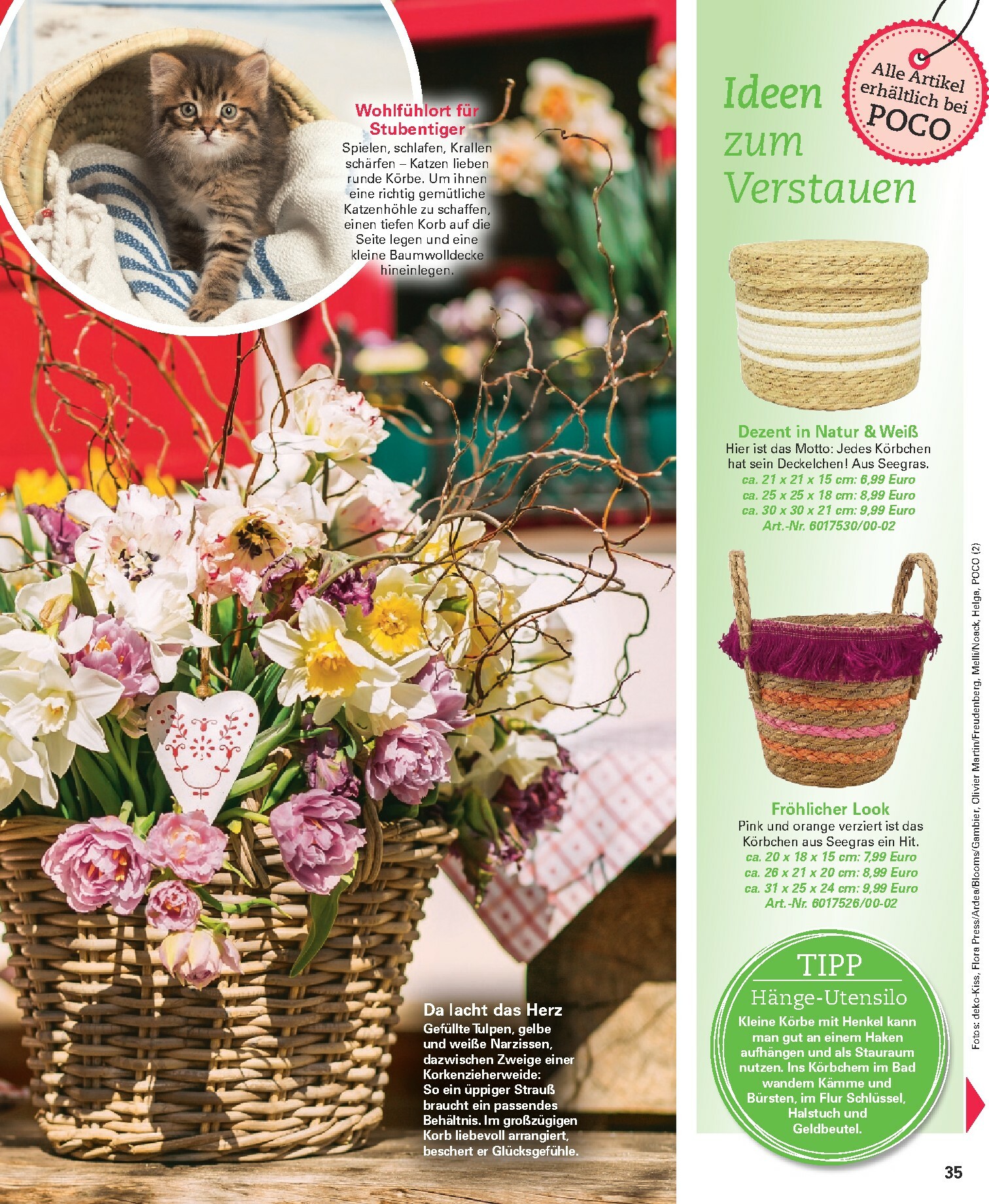 poco - Poco-Prospekt gültig vom 16.02.2026 bis 31.05.2026 - page: 35