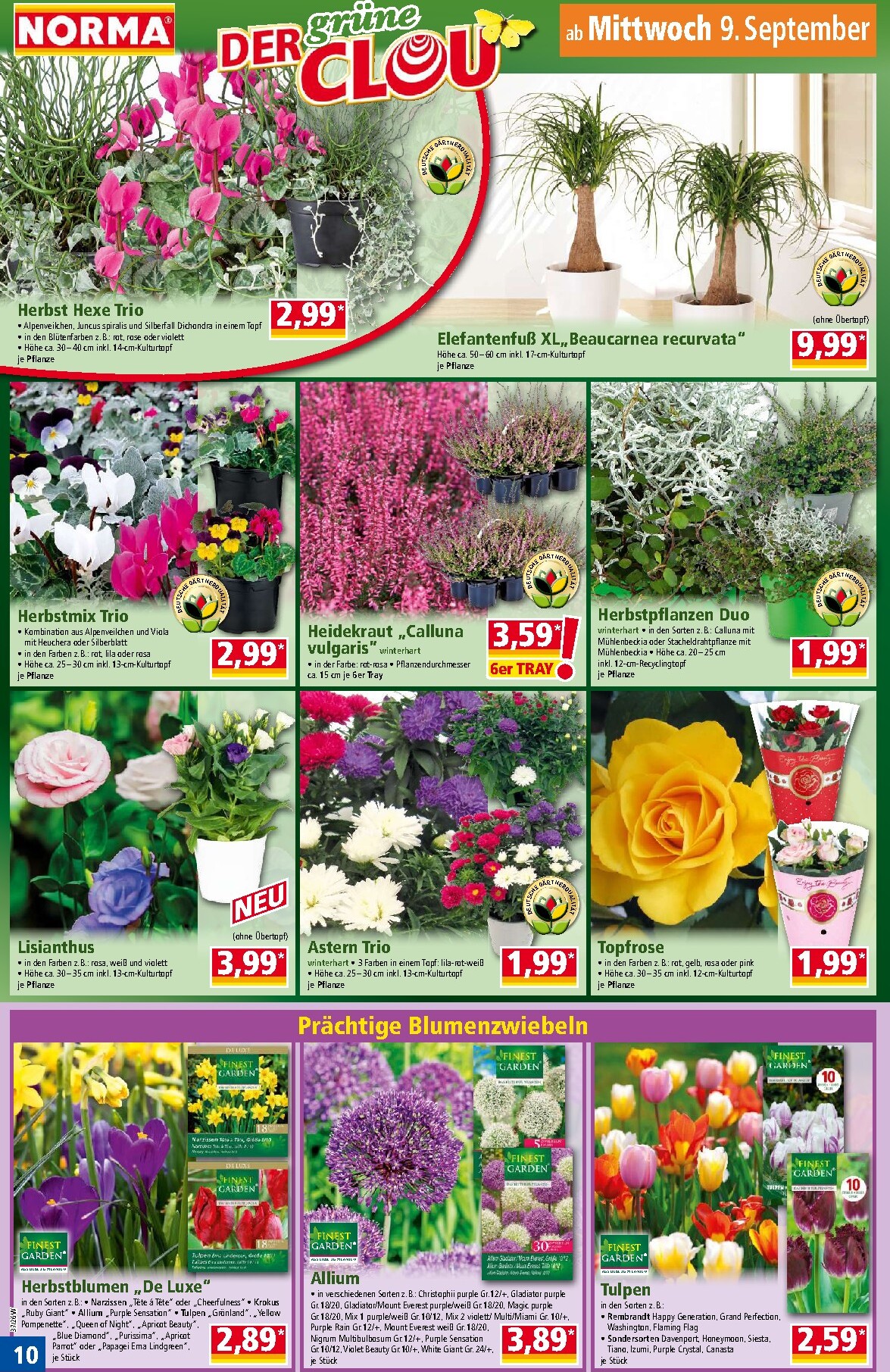 norma - Norma Prospekt nächste Woche – von Montag 07.09.2026 bis Samstag 12.09.2026 - page: 10