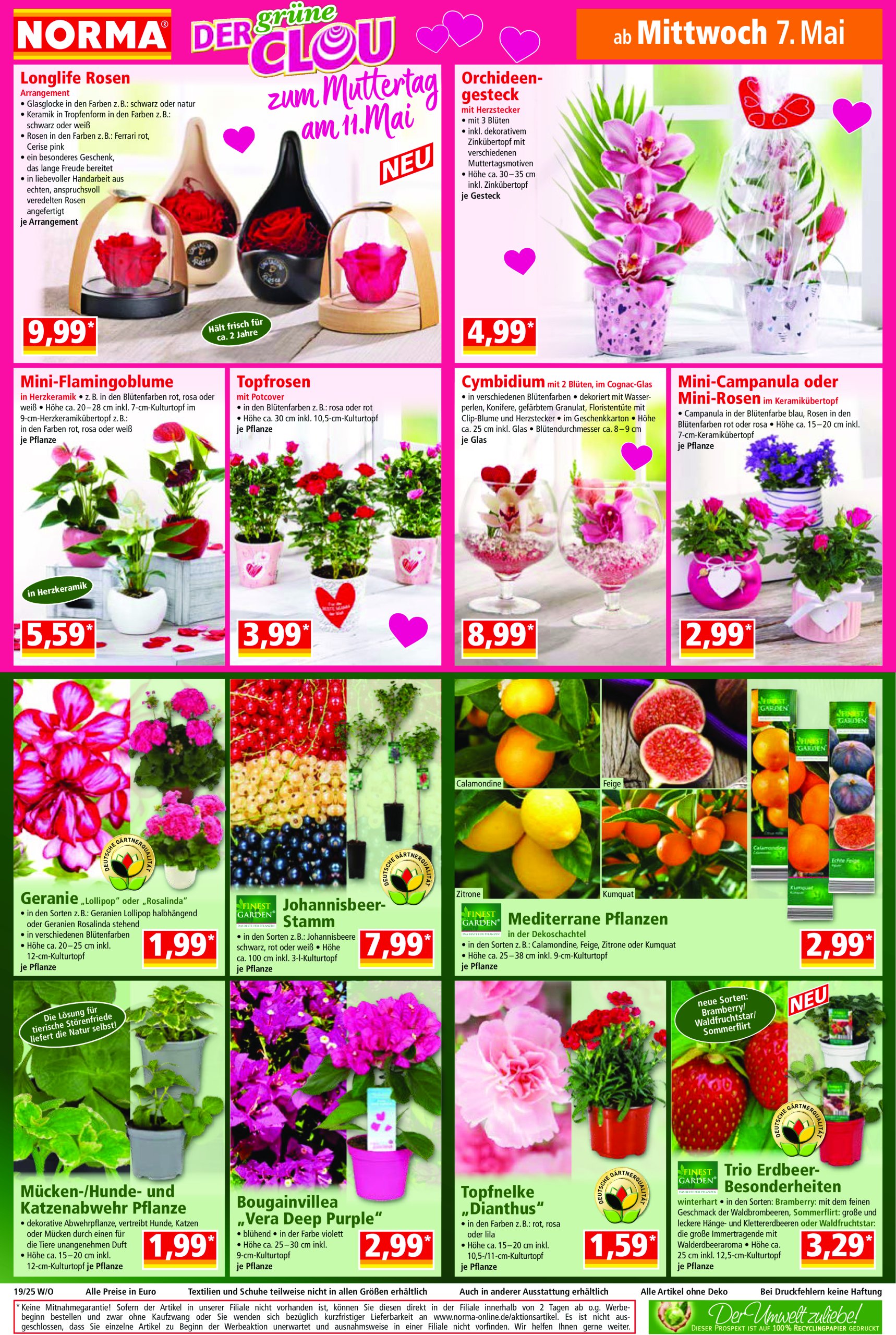 norma - Norma-Prospekt gültig von 05.05. bis 10.05. - page: 16
