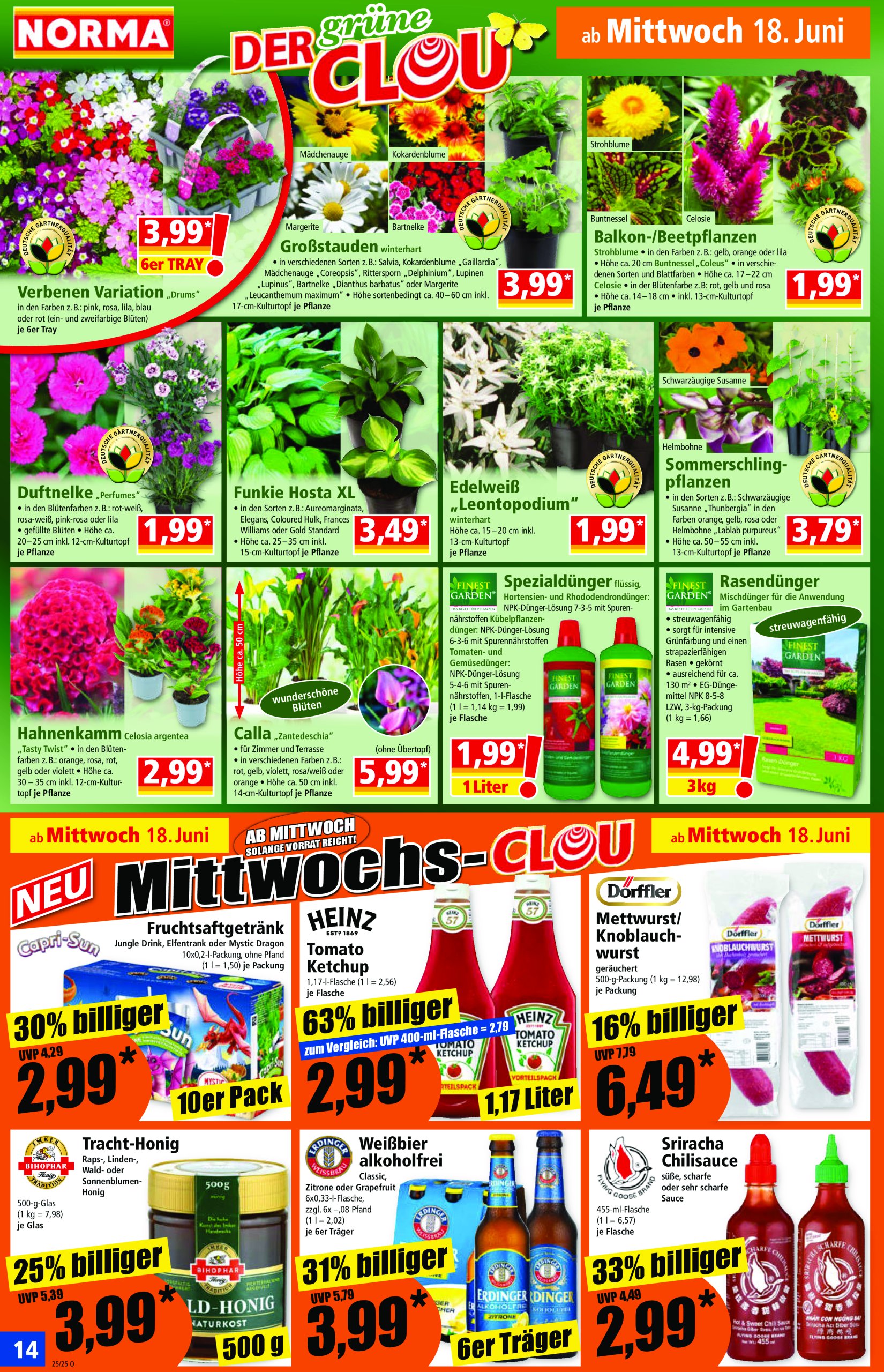 norma - Norma-Prospekt gültig vom 16.06. bis 21.06. - page: 15