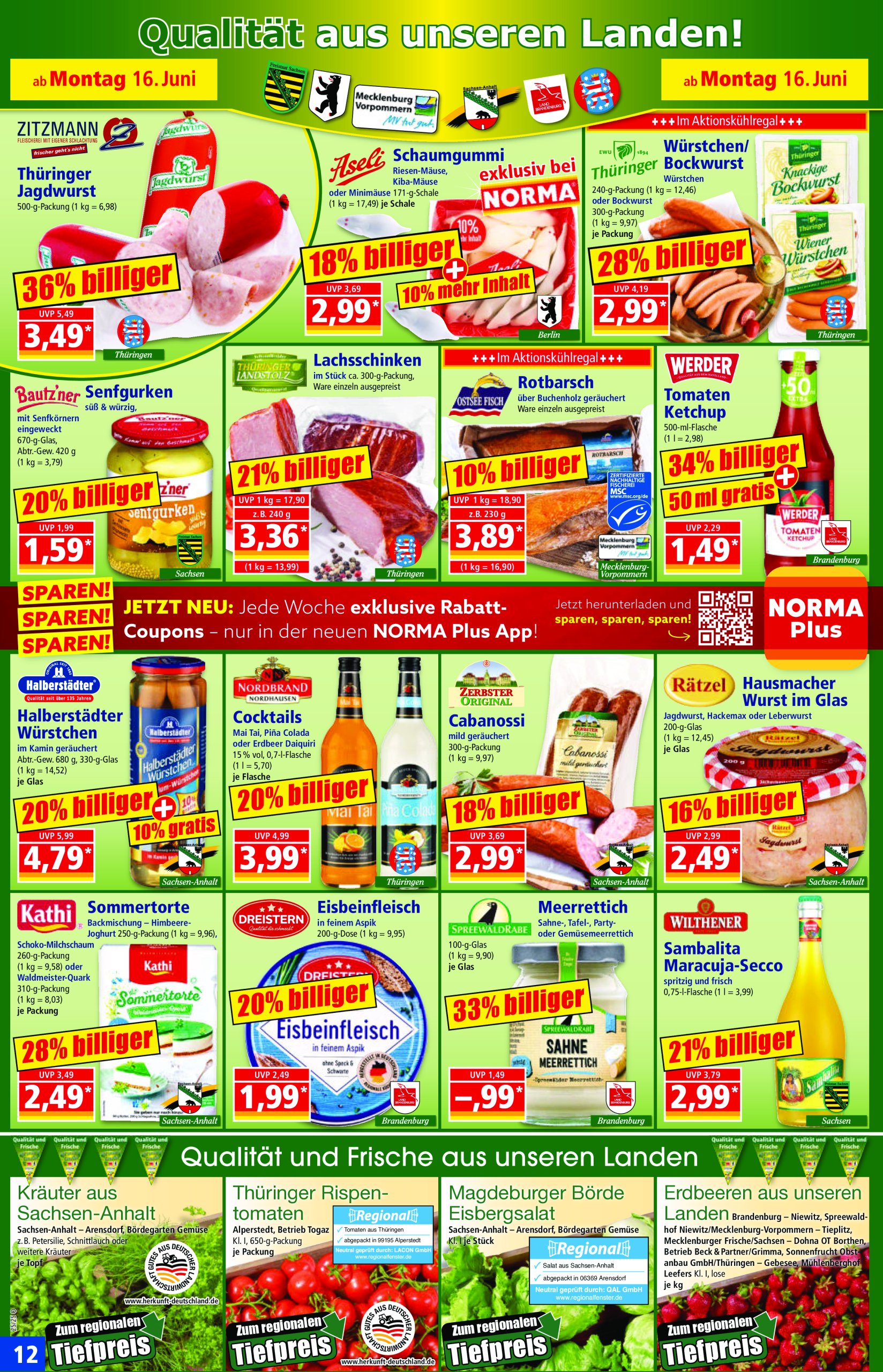 norma - Norma-Prospekt gültig vom 16.06. bis 21.06. - page: 13