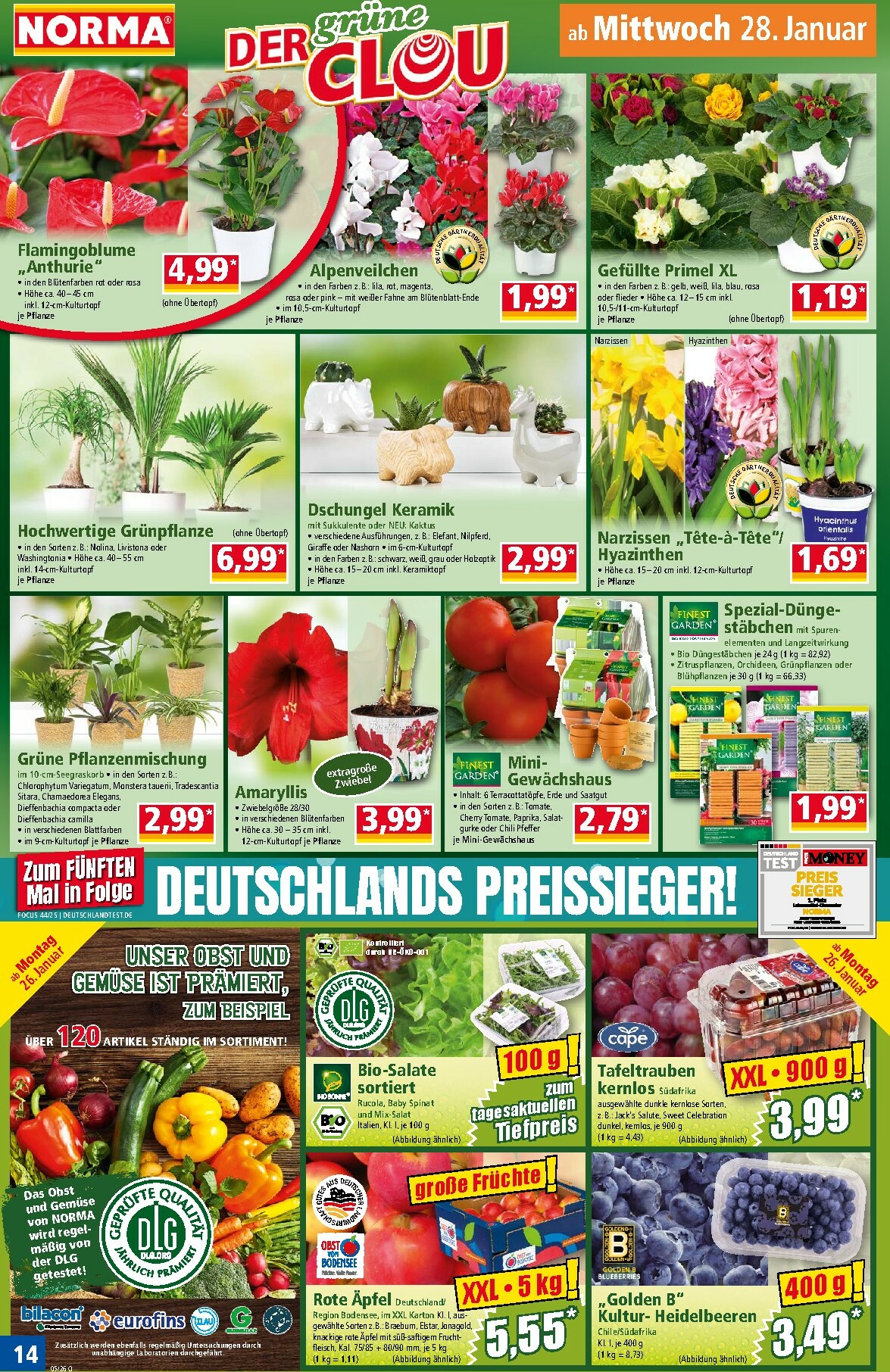 norma - Norma-Prospekt gültig vom 26.01. bis 31.01. - page: 14