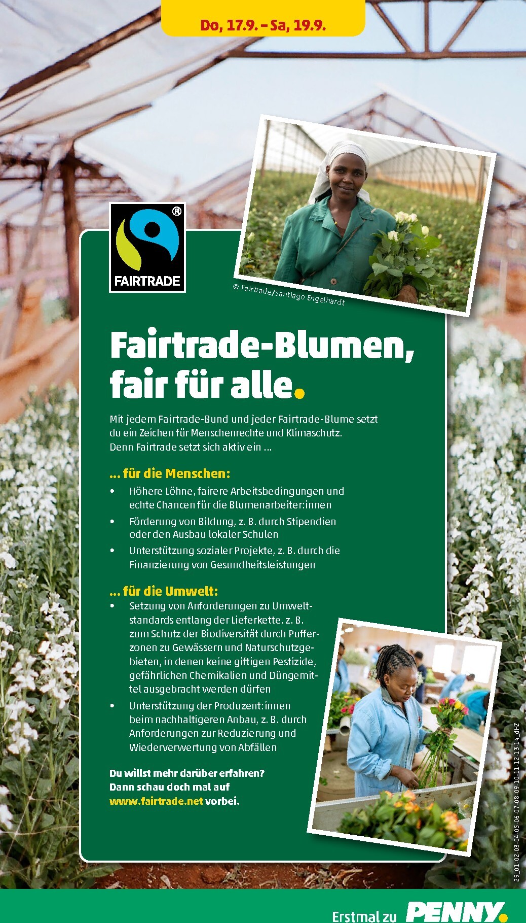 penny - PENNY Prospekt nächste Woche – von Montag 14.09.2026 bis Samstag 19.09.2026 - page: 31