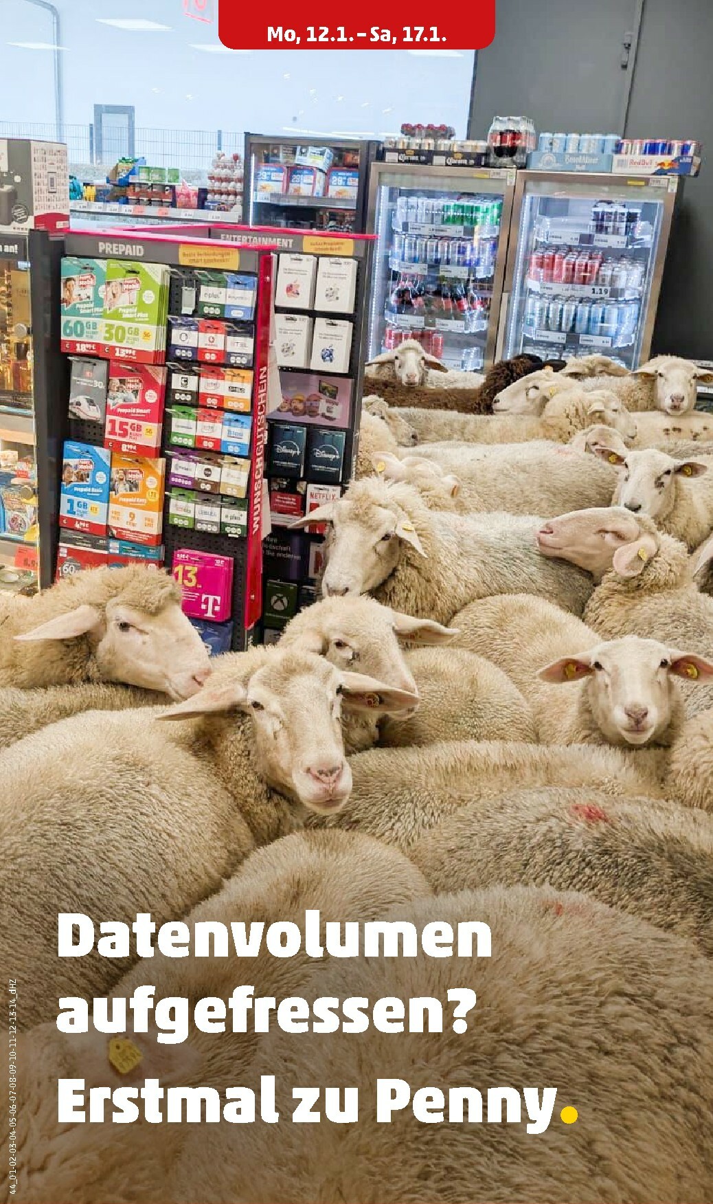 penny - PENNY-Prospekt gültig vom 12.01. bis 17.01. - page: 24