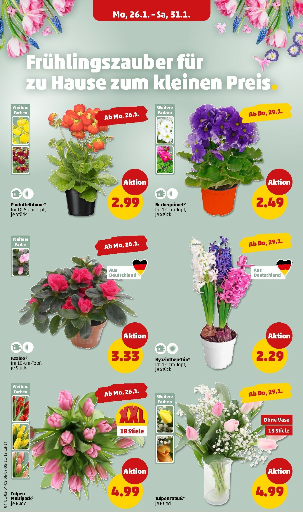 penny - PENNY-Prospekt gültig vom 26.01. bis 31.01. - page: 6