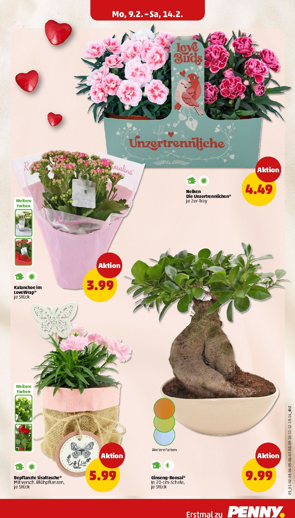 penny - PENNY-Prospekt gültig vom 09.02.2026 bis 14.02.2026 - page: 9