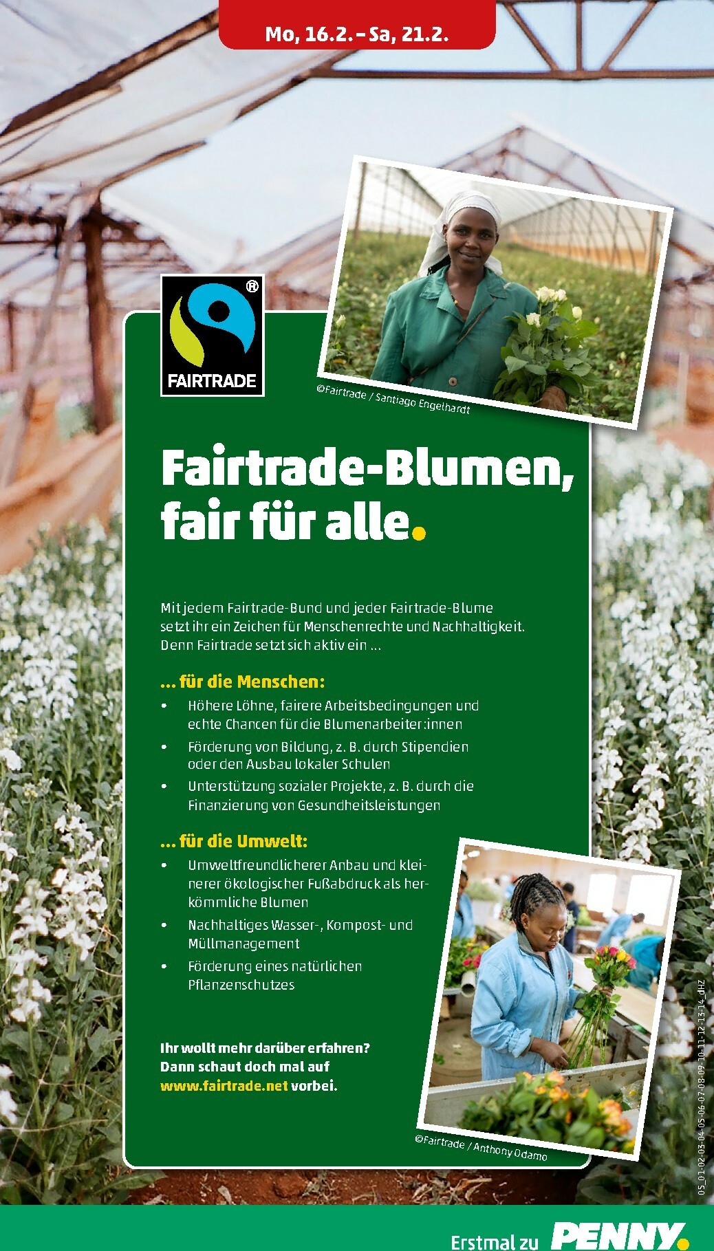 penny - PENNY-Prospekt gültig vom 16.02.2026 bis 21.02.2026 - page: 7