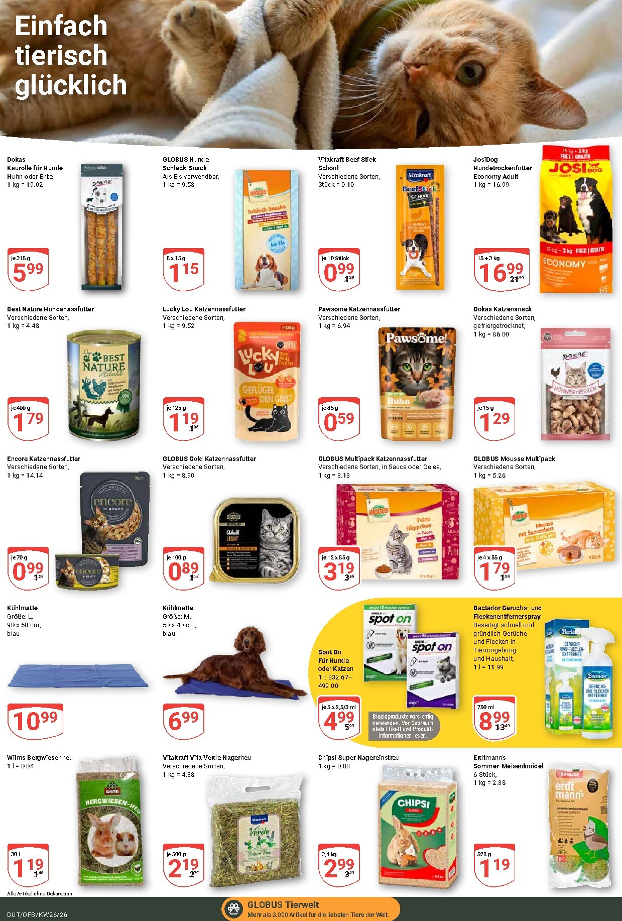 globus - Globus - Schulangebot Prospekt nächste Woche – von Montag 22.06.2026 bis Samstag 27.06.2026 - page: 22
