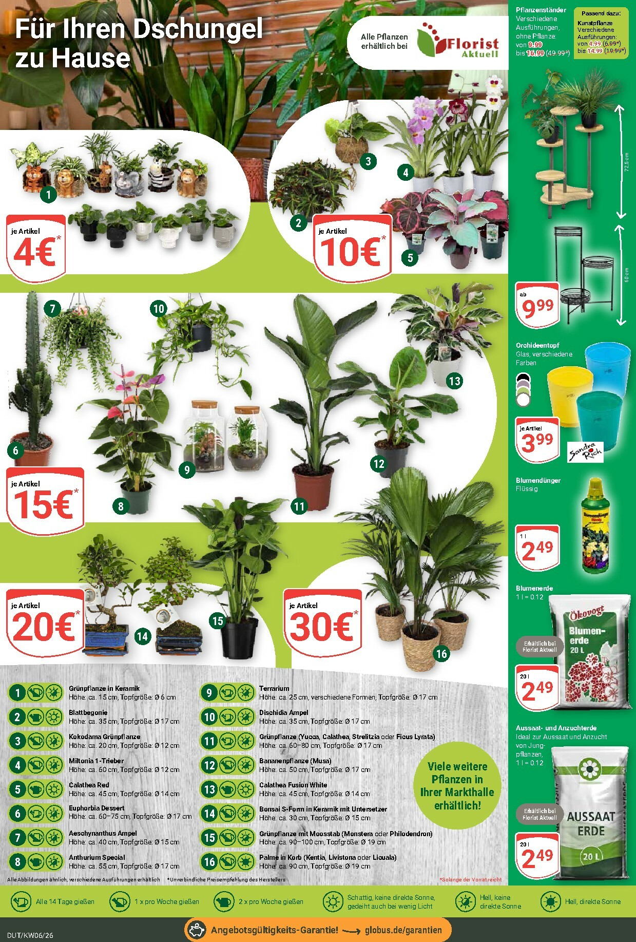 globus - Globus - Dutenhofen-Prospekt gültig vom 02.02. bis 07.02. - page: 11