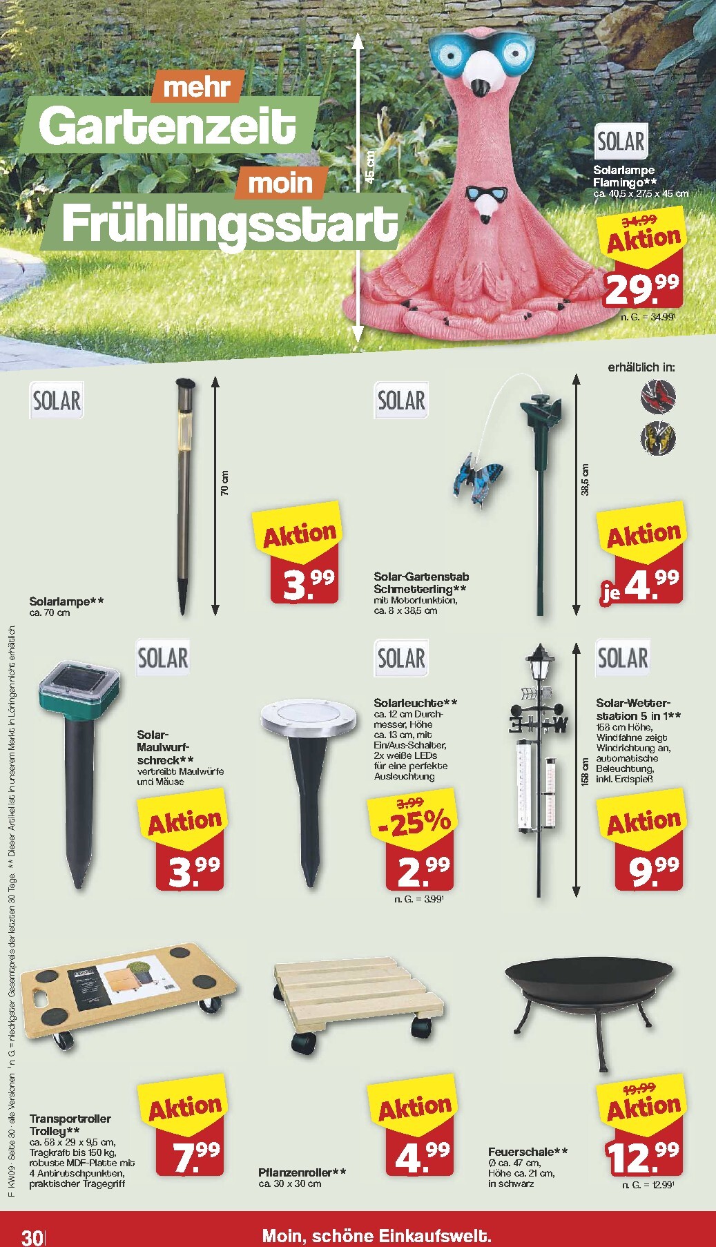 famila-nordwest - Famila Nordwest-Prospekt gültig vom 23.02.2026 bis 28.02.2026 - page: 31