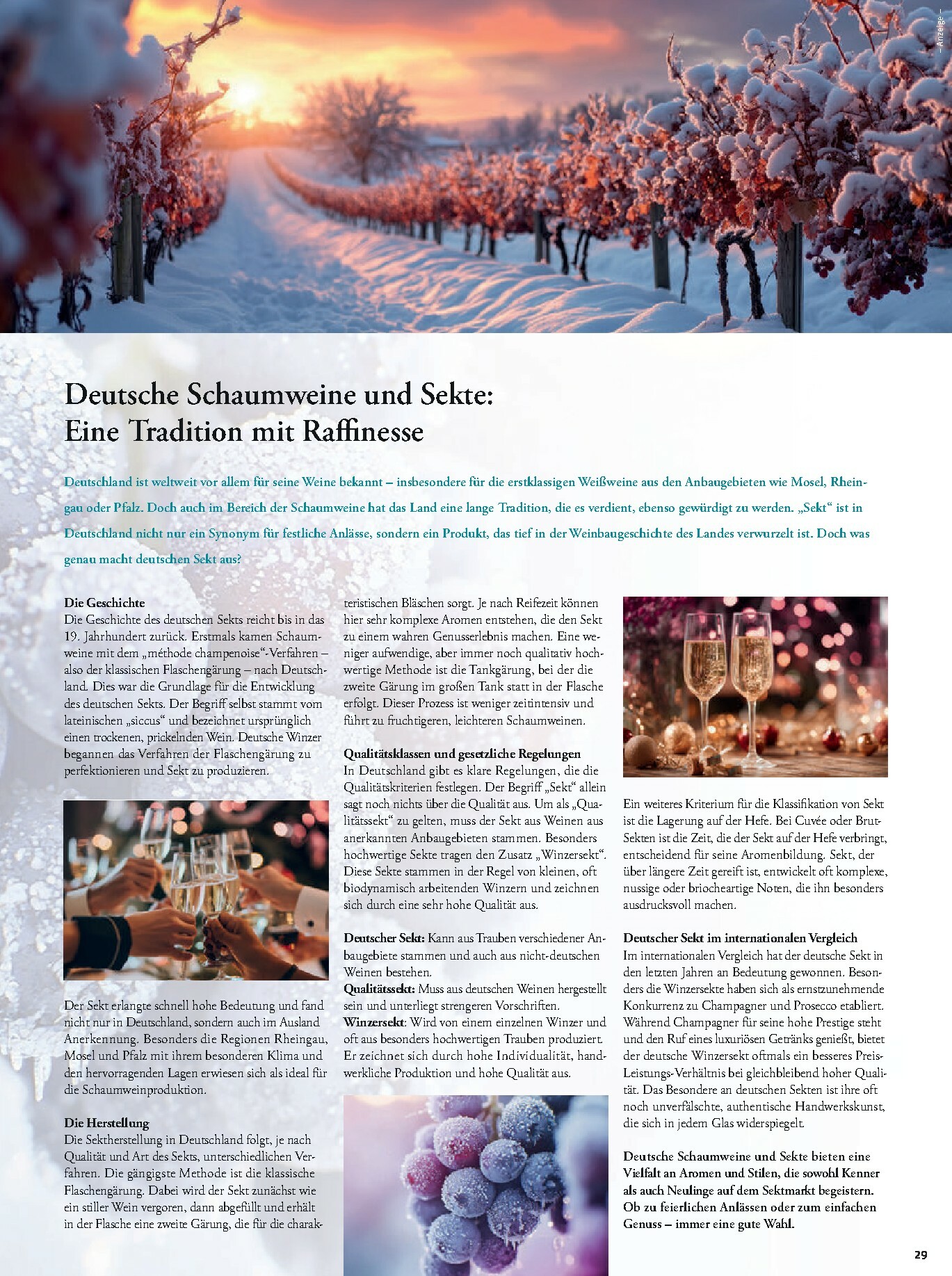 tegut - Tegut-Prospekt gültig vom 29.12. bis 03.01. - page: 31