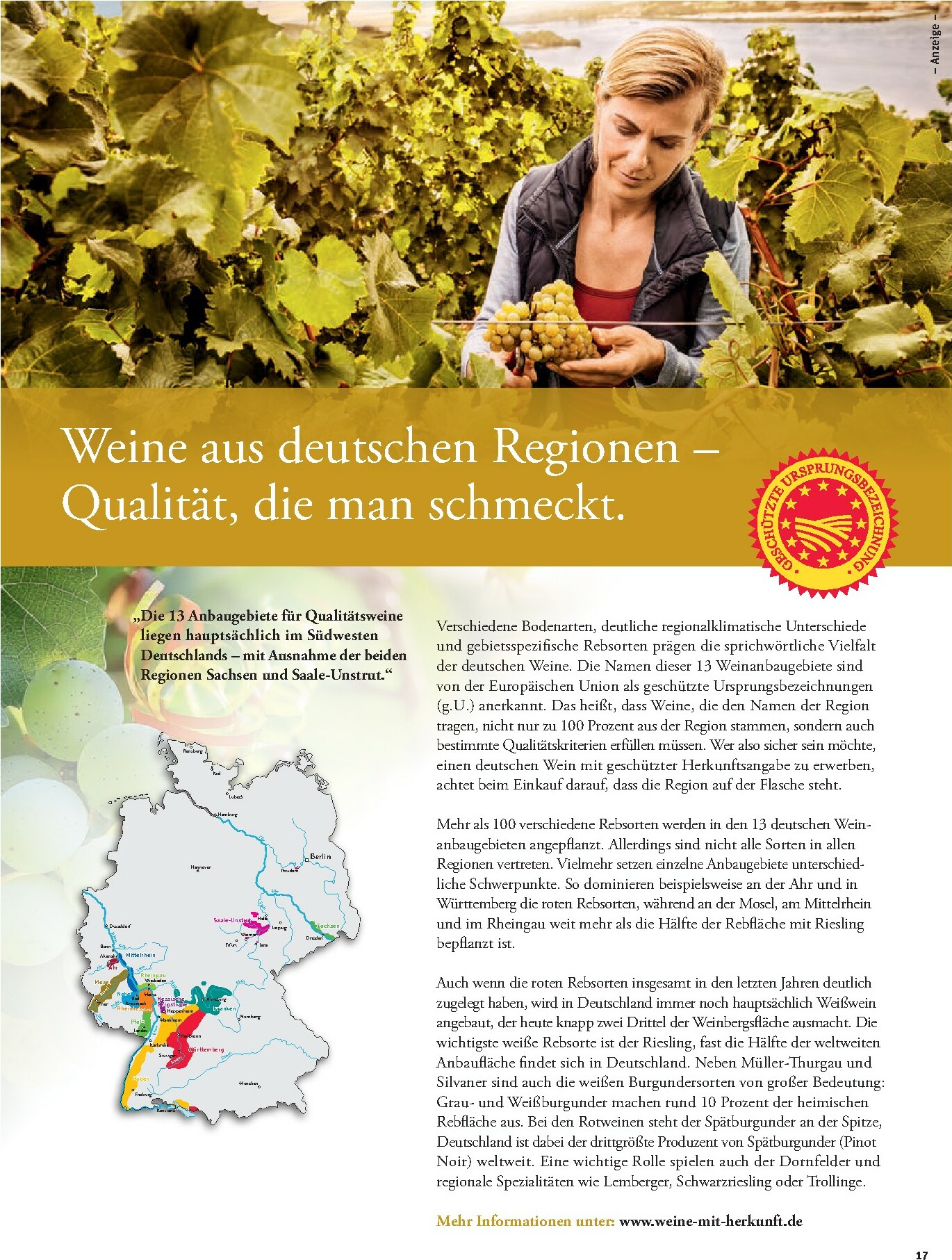 tegut - Tegut-Prospekt gültig vom 16.02.2026 bis 21.02.2026 - page: 19