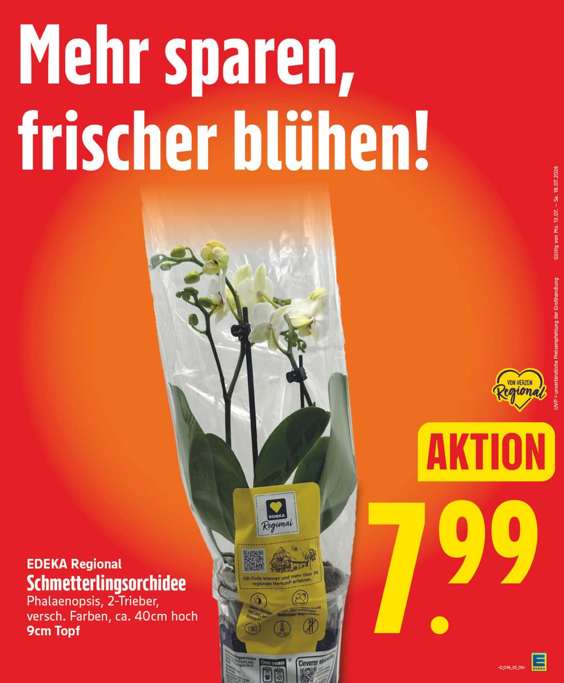 np - NP - Gehrden Prospekt nächste Woche – von Montag 31.08.2026 bis Samstag 05.09.2026 - page: 5