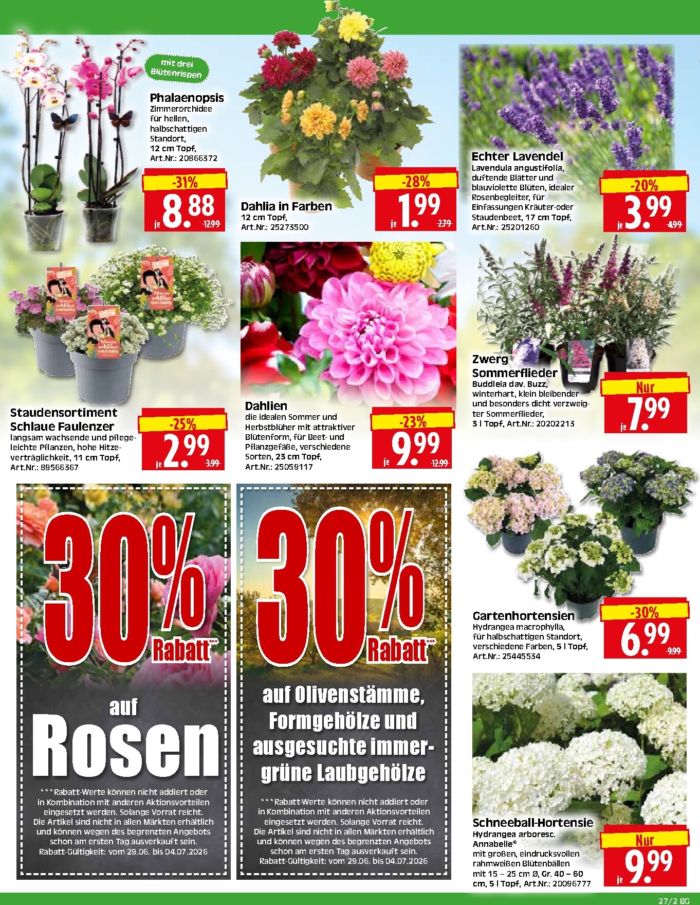 herkules - Herkules - Bau & Garten Prospekt nächste Woche – von Montag 29.06.2026 bis Samstag 04.07.2026 - page: 2