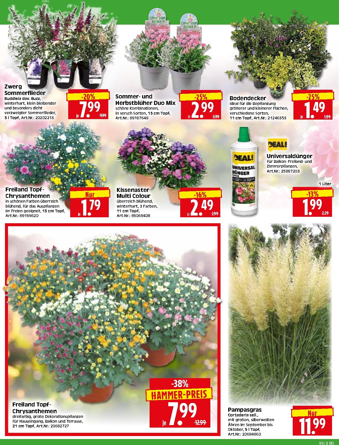 herkules - Herkules - Bau & Garten Prospekt nächste Woche – von Montag 31.08.2026 bis Samstag 05.09.2026 - page: 2