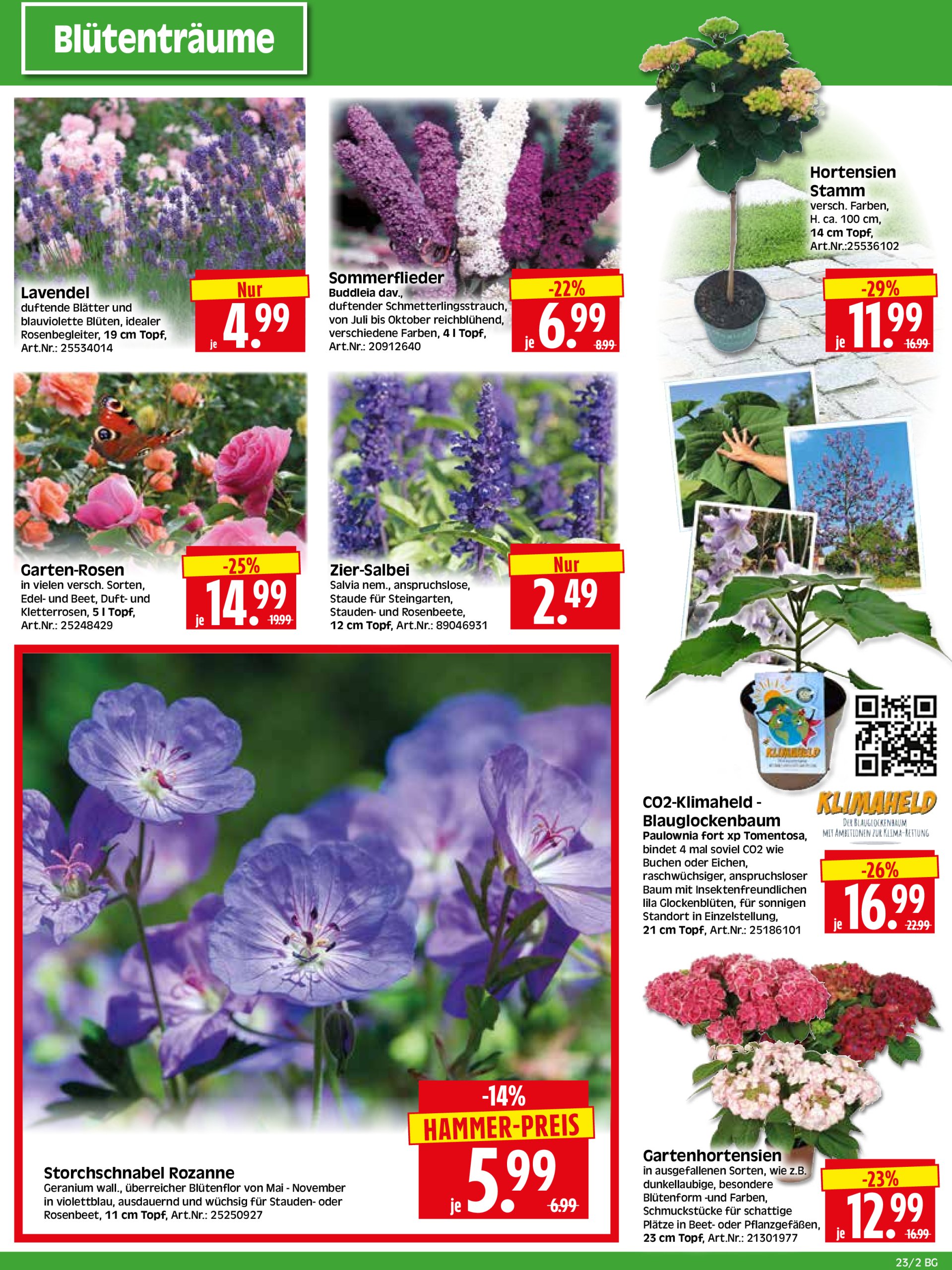 herkules - Herkules - Bau & Garten-Prospekt gültig von 02.06. bis 07.06. - page: 2