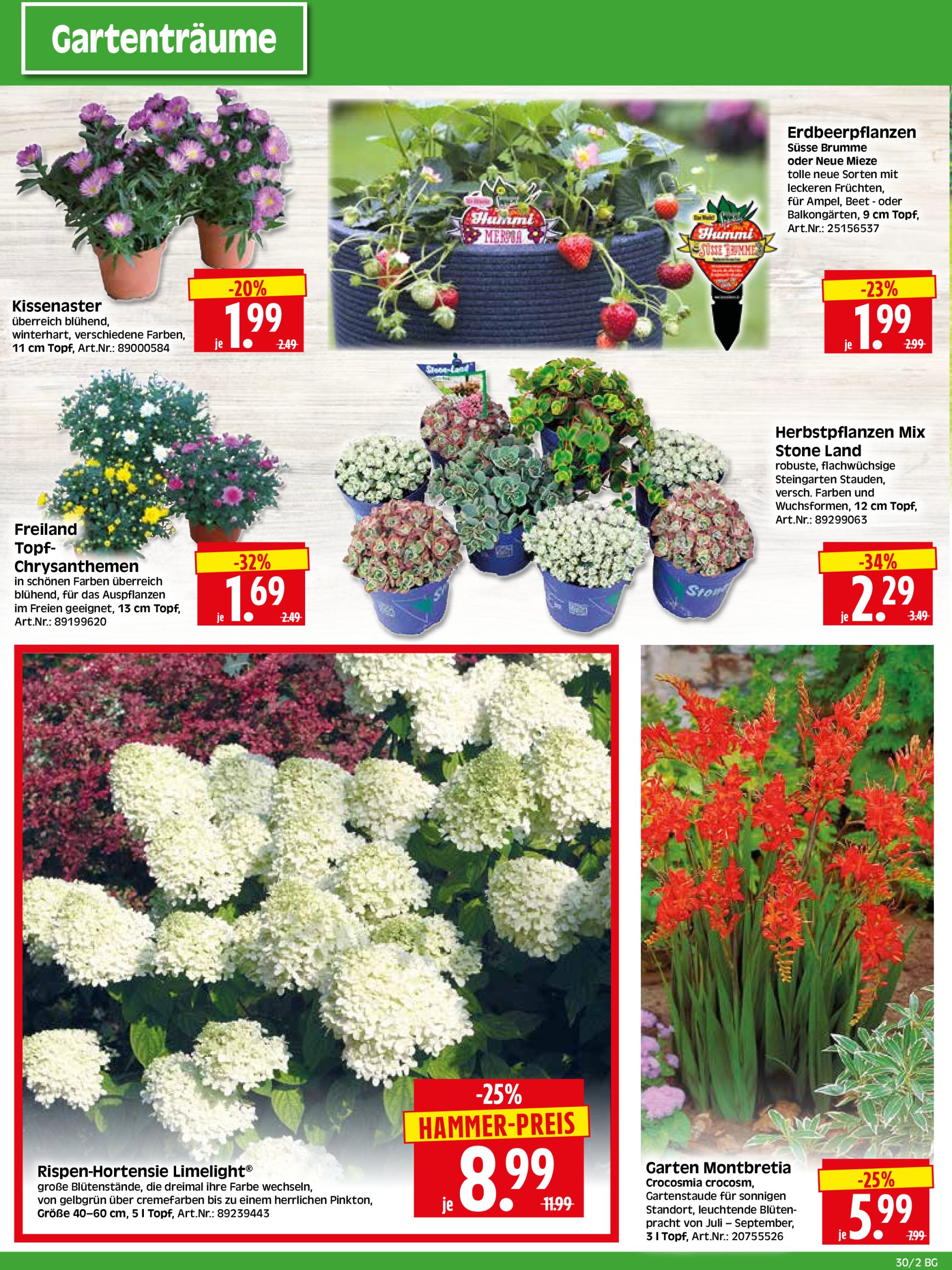 herkules - Herkules - Bau & Garten-Prospekt gültig vom 21.07. bis 26.07. - page: 2