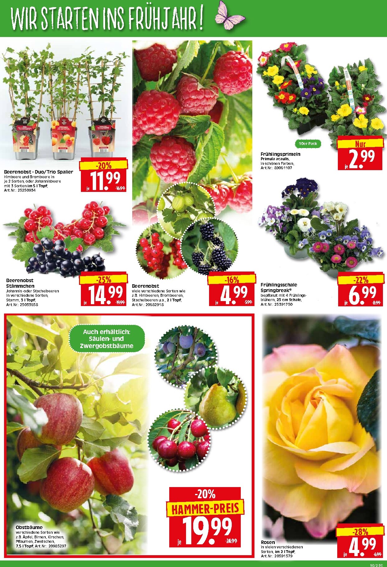 herkules - Herkules - Bau & Garten-Prospekt gültig vom 02.03.2026 bis 07.03.2026 - page: 2