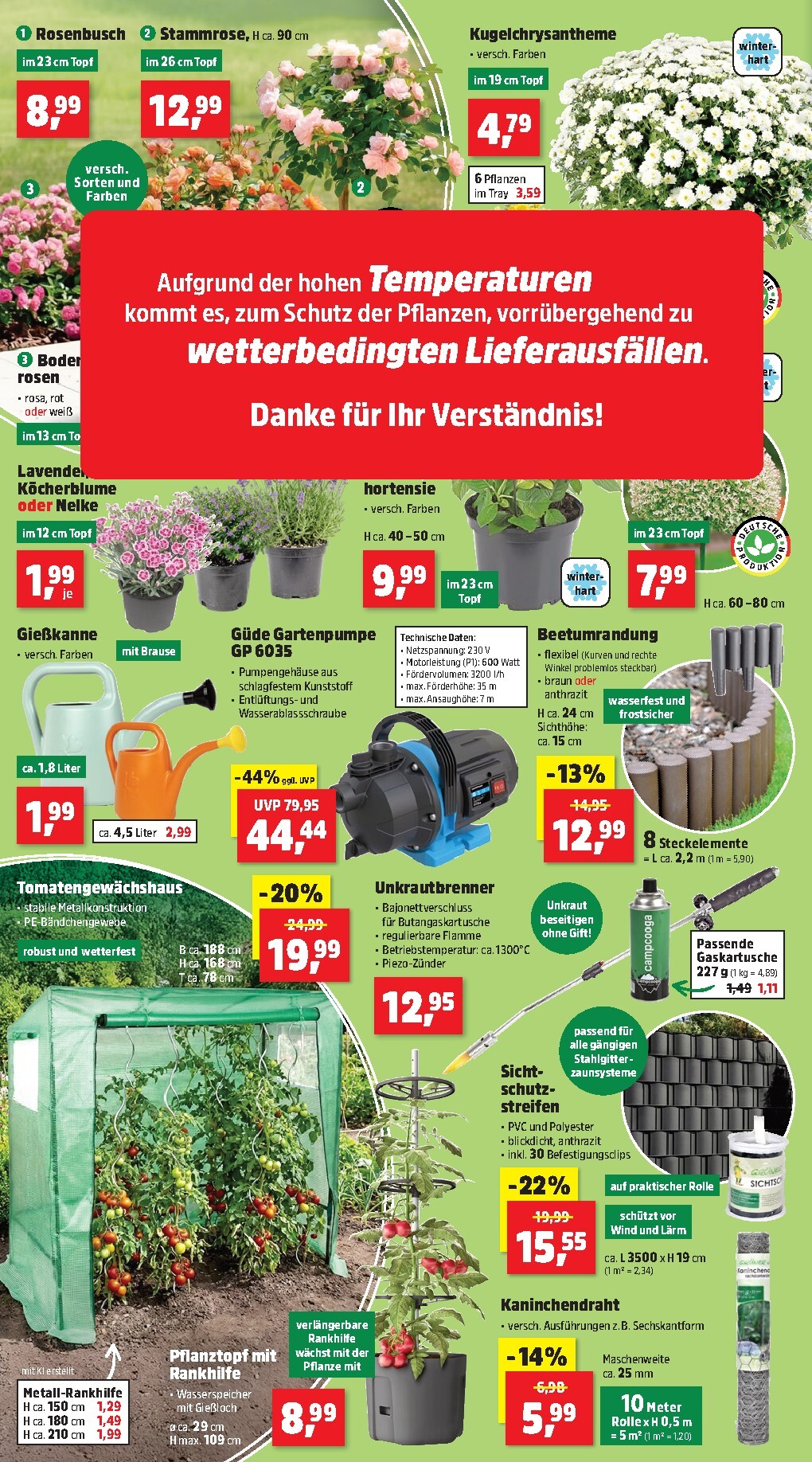 thomas-phillips - Thomas Phillips Prospekt nächste Woche – von Montag 29.06.2026 bis Samstag 04.07.2026 - page: 2