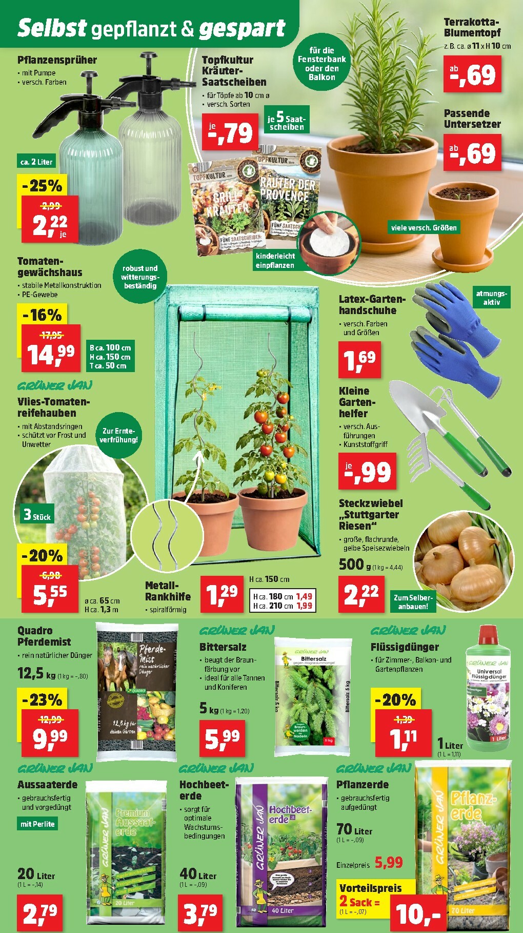 thomas-phillips - Thomas Phillips-Prospekt gültig vom 02.02.2026 bis 07.02.2026 - page: 5