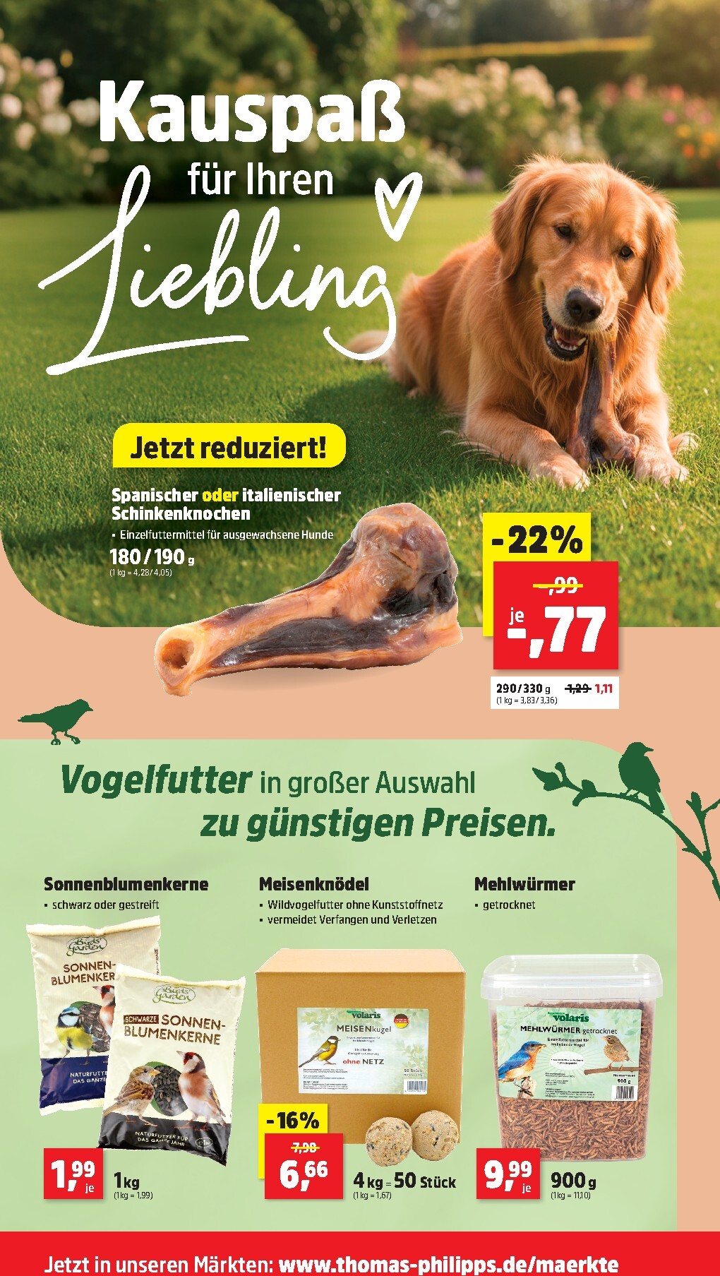 thomas-phillips - Thomas Phillips-Prospekt gültig vom 02.03.2026 bis 07.03.2026 - page: 6