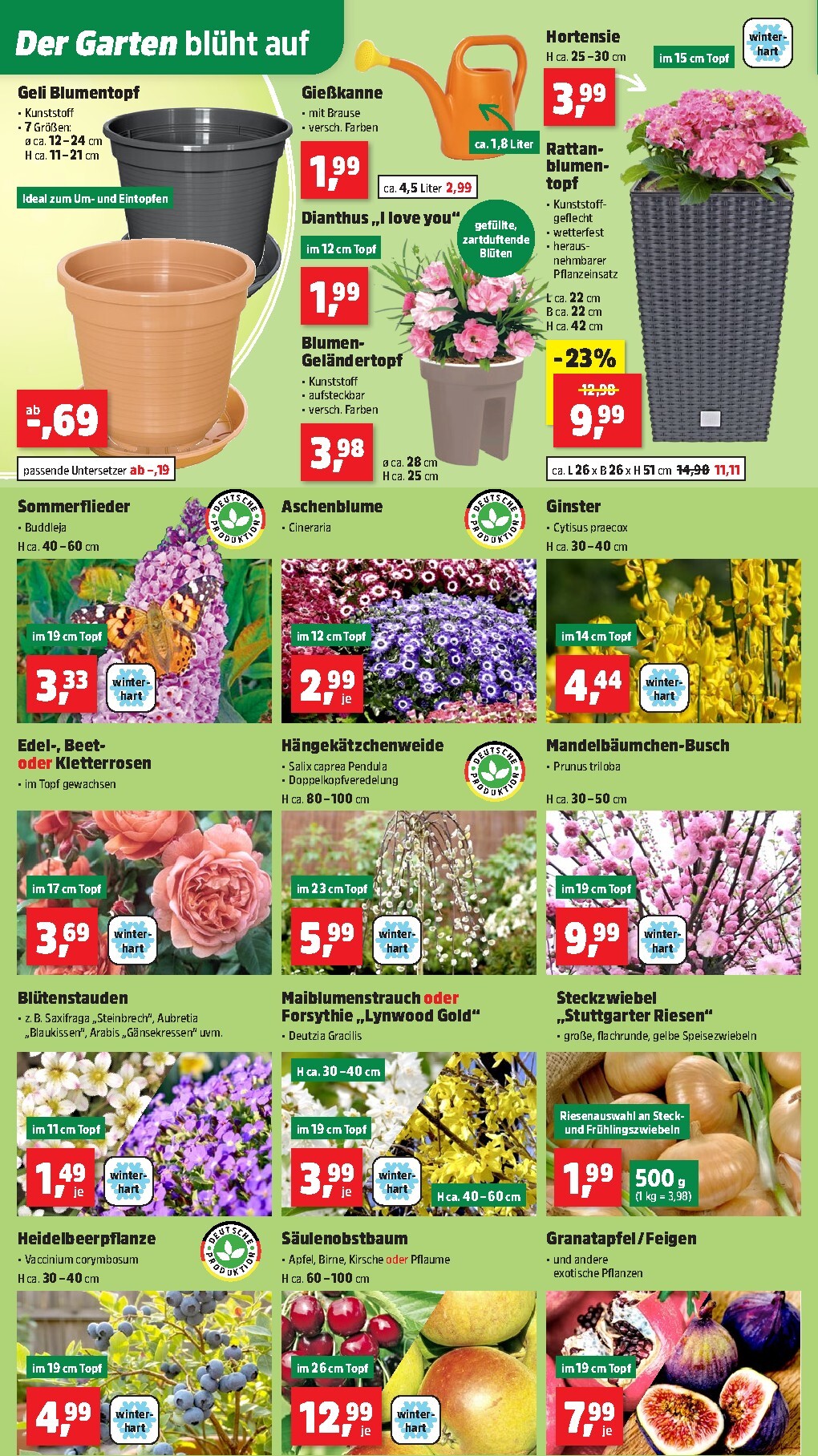 thomas-phillips - Thomas Phillips-Prospekt gültig vom 16.03.2026 bis 21.03.2026 - page: 4