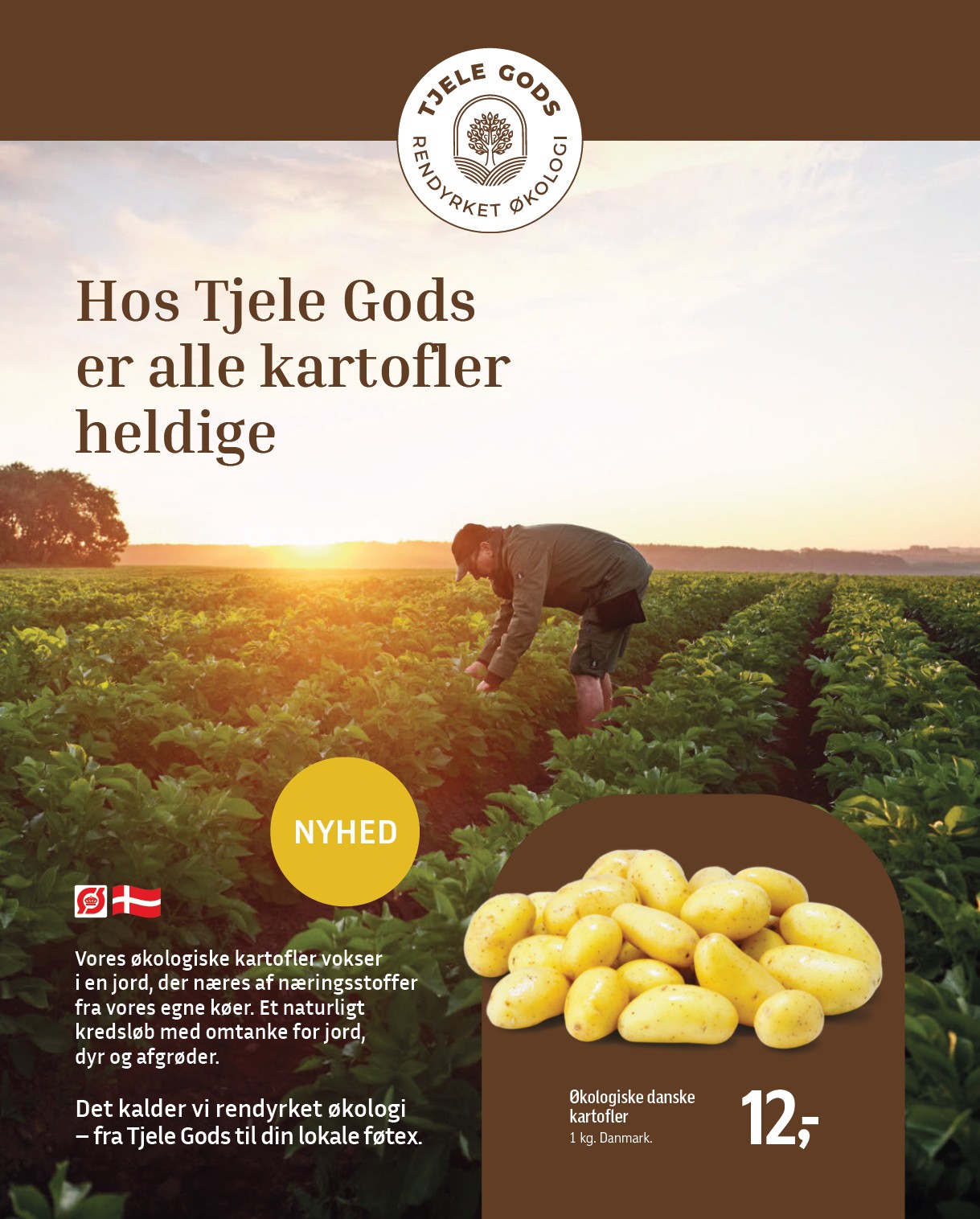 fotex - Føtex tilbudsavis for næste uge fra fredag, 14.08.2026 til torsdag, 27.08.2026 - page: 10