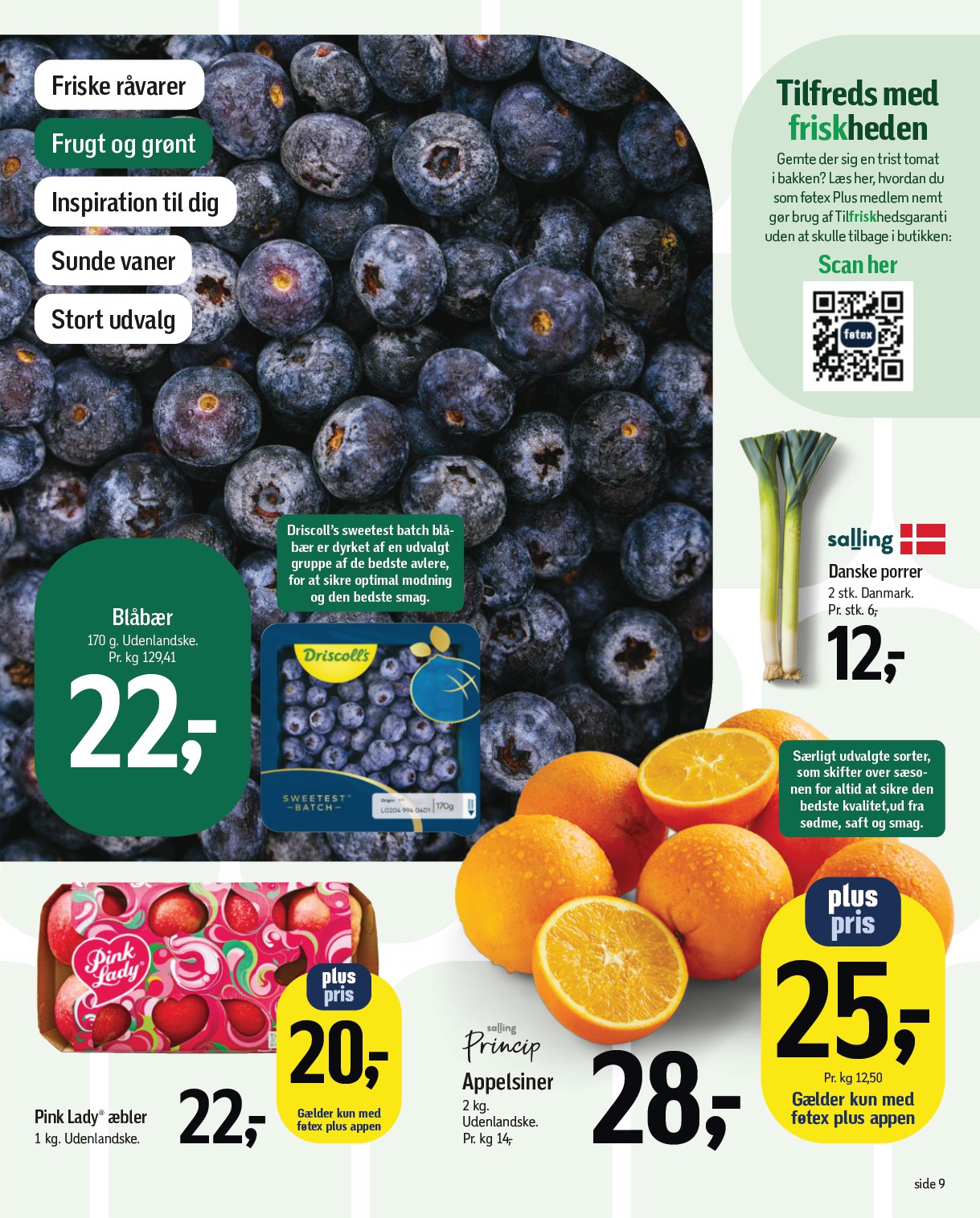 fotex - Føtex tilbudsavis gyldig fra 13.02.2026 til 26.02.2026 - page: 13