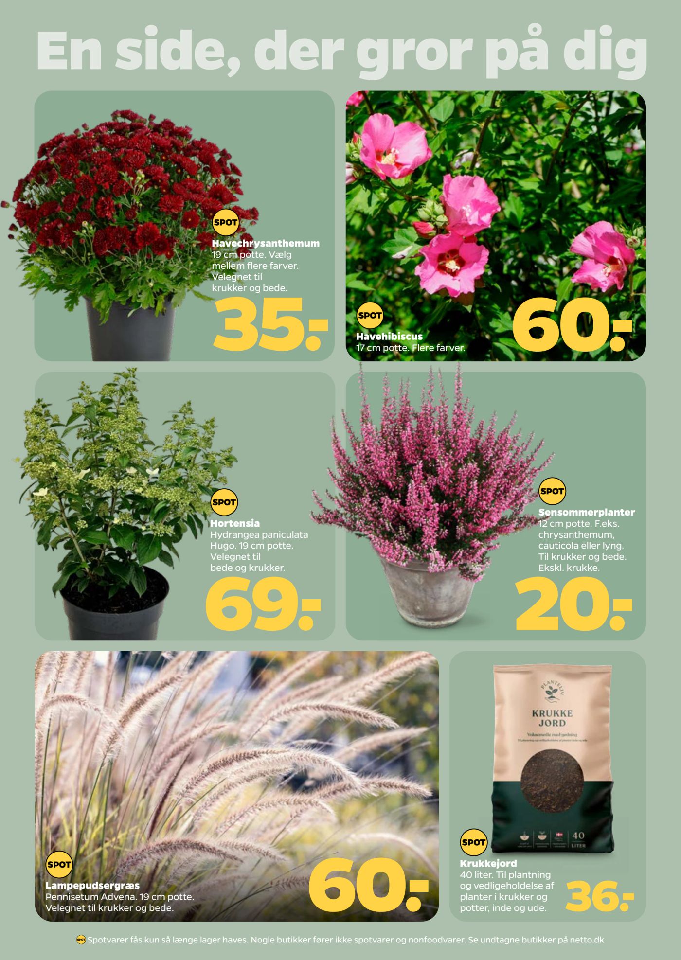 netto - Aktuel Netto - Non Food tilbudsavis fra lørdag, 08.08.2026 til fredag, 14.08.2026 - page: 8