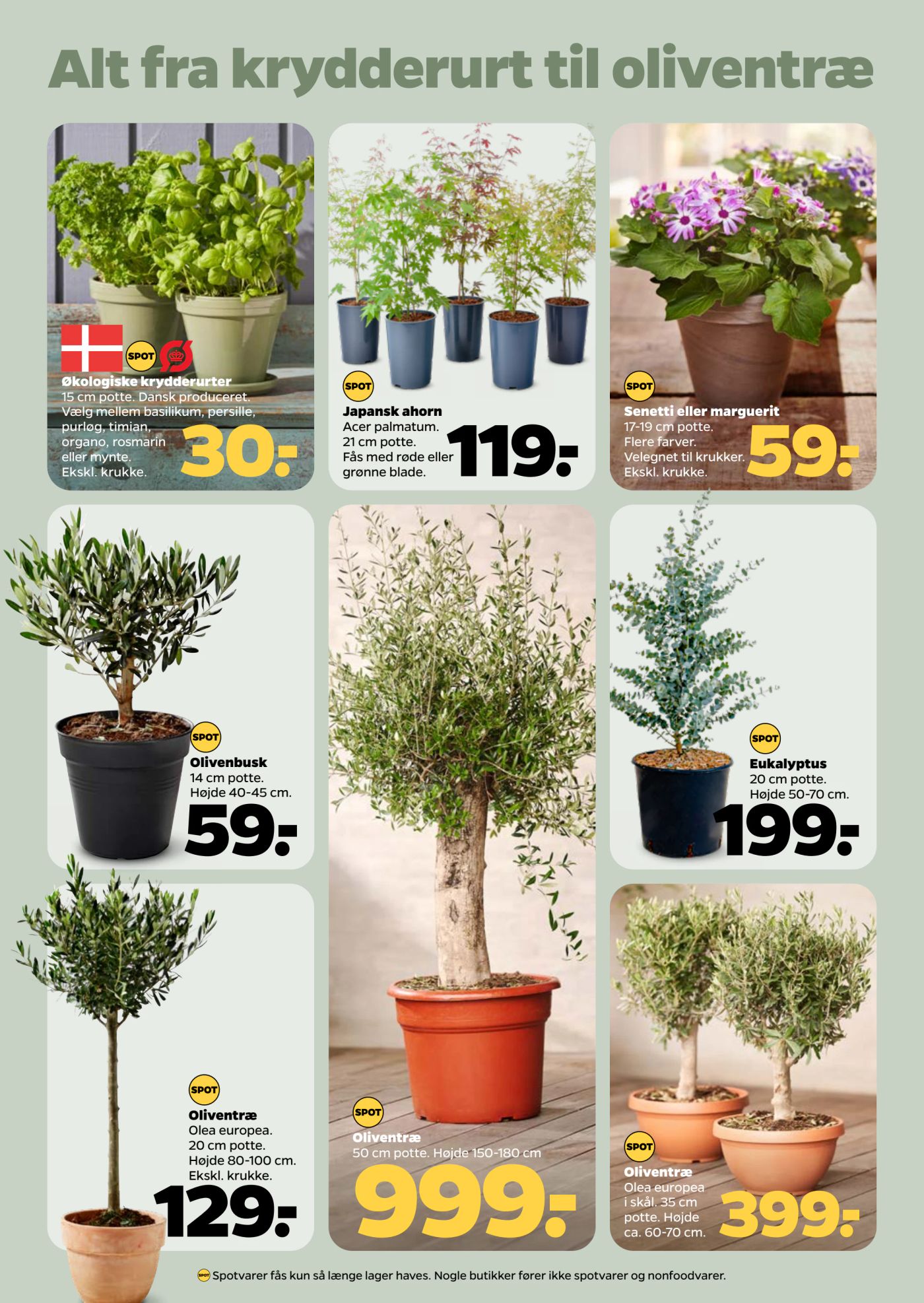 netto - Netto tilbudsavis gyldig fra 05.04. - 11.04. - page: 34 netto - Netto tilbudsavis gyldig fra 05.04. - 11.04. - page: 34