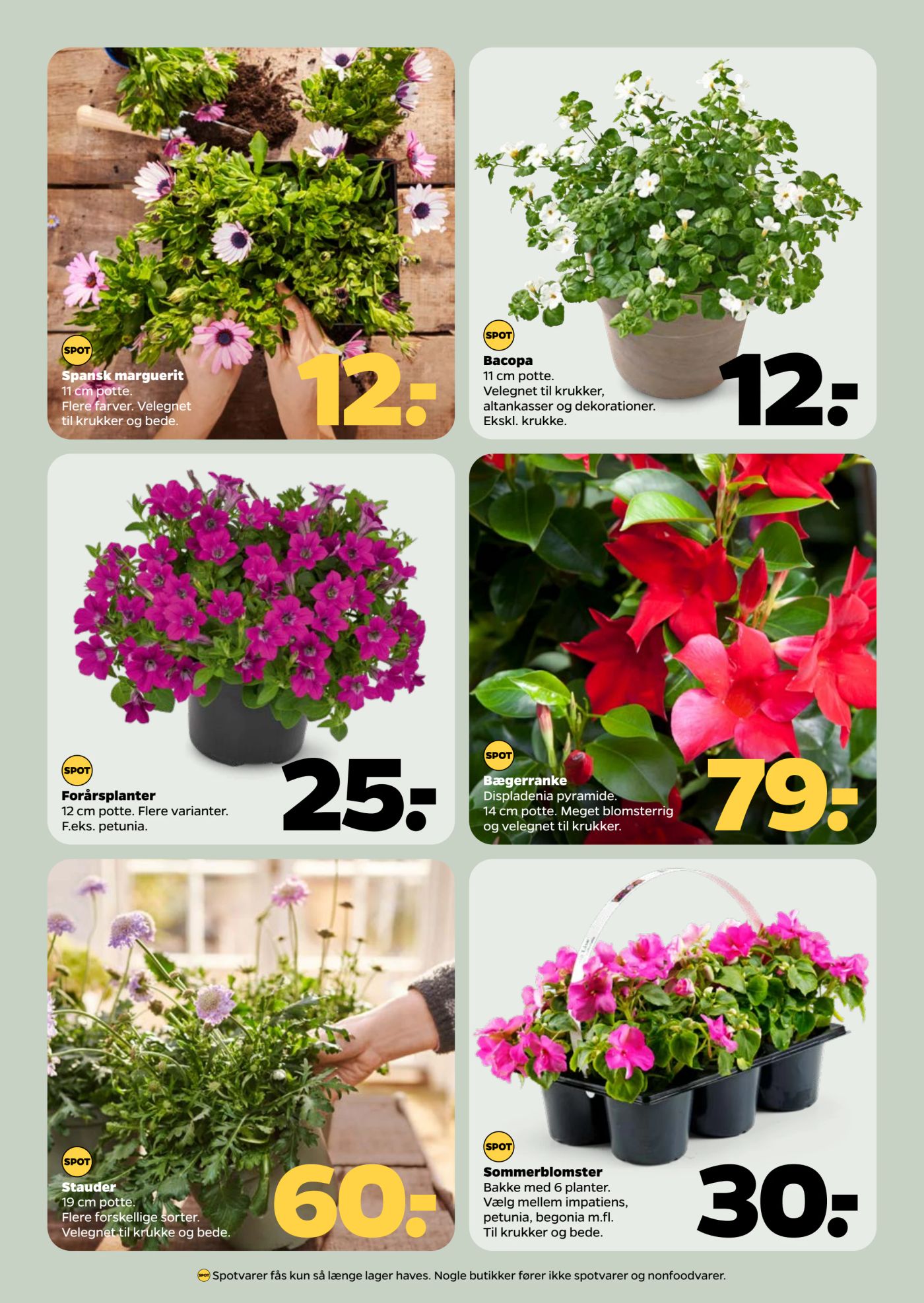 netto - Netto tilbudsavis gyldig fra 26.04. - 02.05. - page: 42 netto - Netto tilbudsavis gyldig fra 26.04. - 02.05. - page: 42