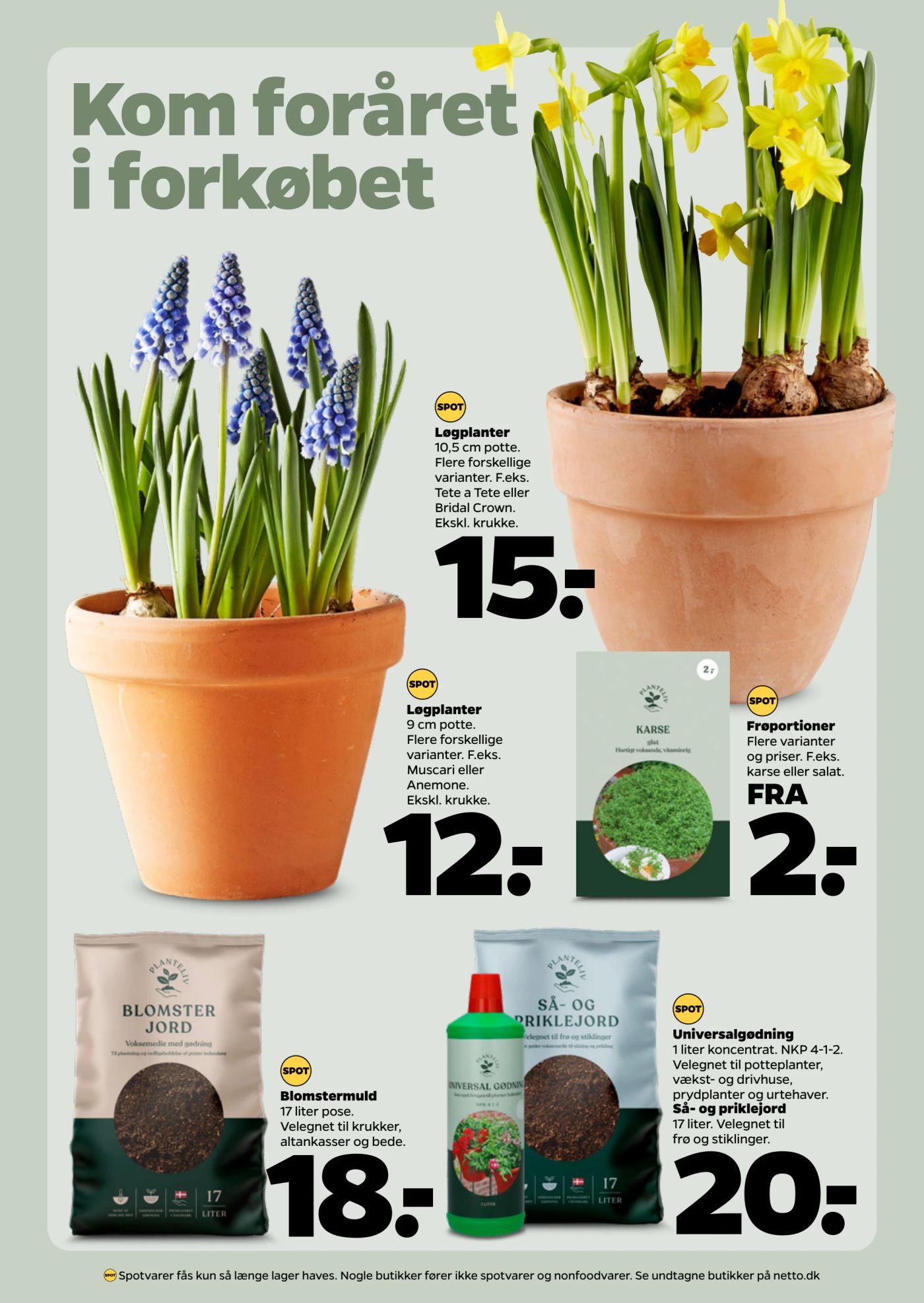 netto - Netto tilbudsavis gyldig fra 31.01. til 06.02. - page: 27