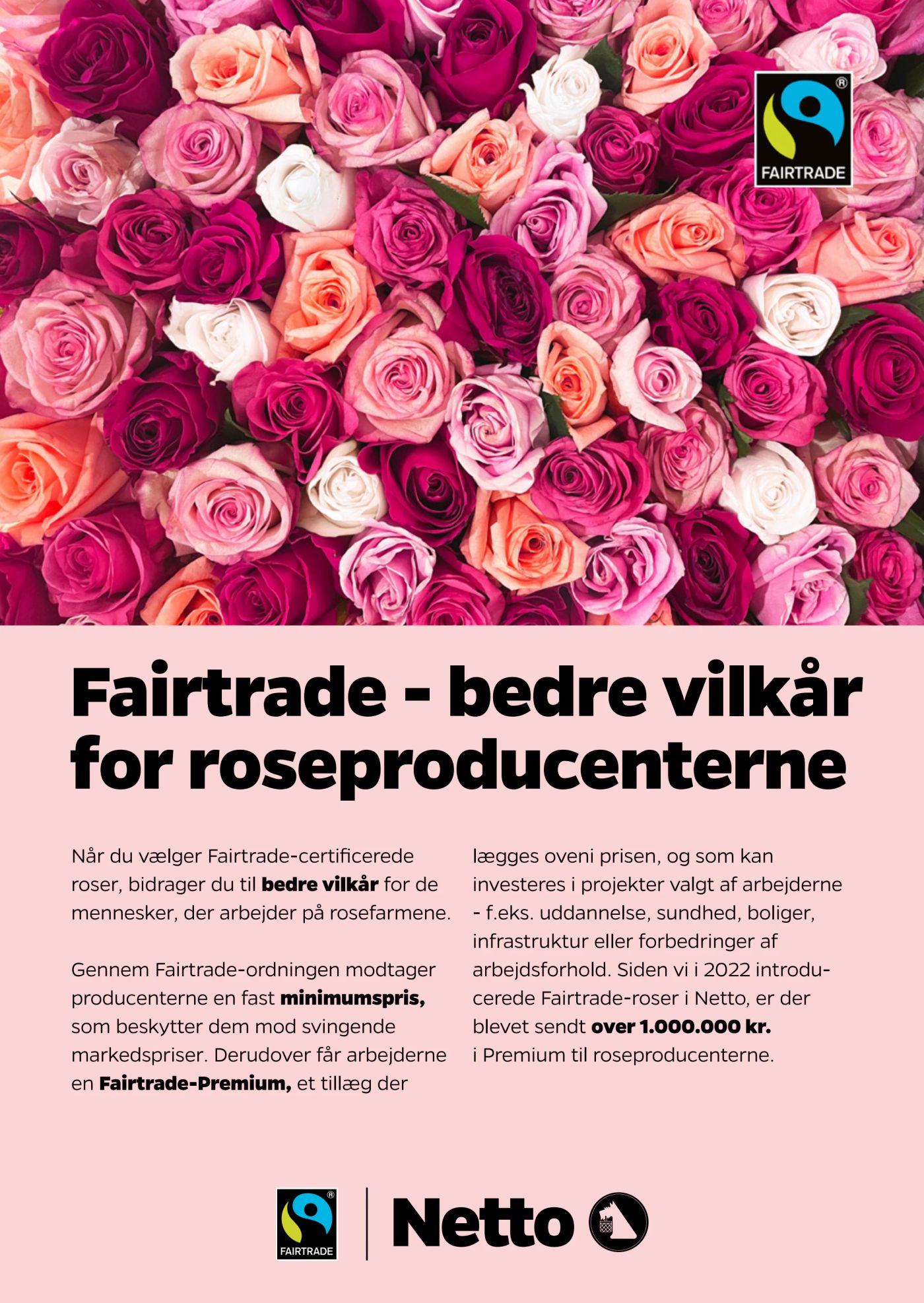 netto - Netto tilbudsavis gyldig fra 07.02.2026 til 13.02.2026 - page: 13