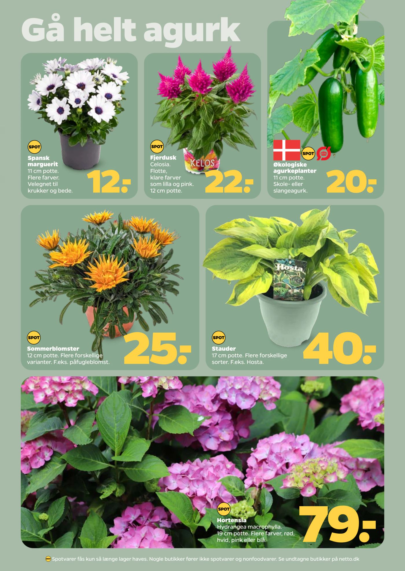netto - Netto flyer til næste uge fra lørdag 09.05.2026 til fredag 15.05.2026 - page: 24