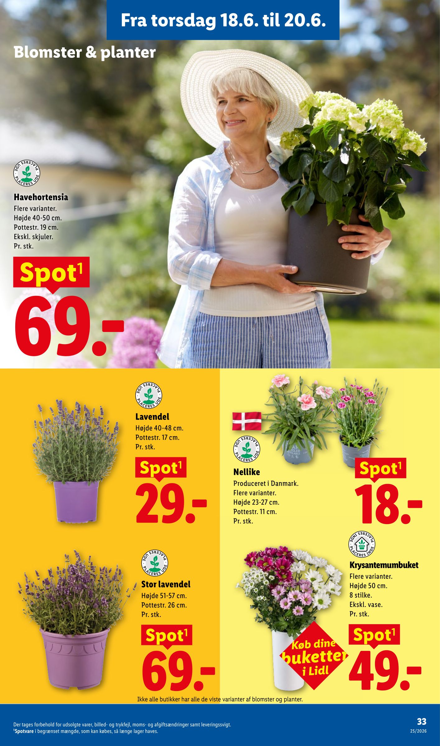 lidl - Aktuel Lidl - Weekendtilbud tilbudsavis fra torsdag, 18.06.2026 til lørdag, 20.06.2026 - page: 13