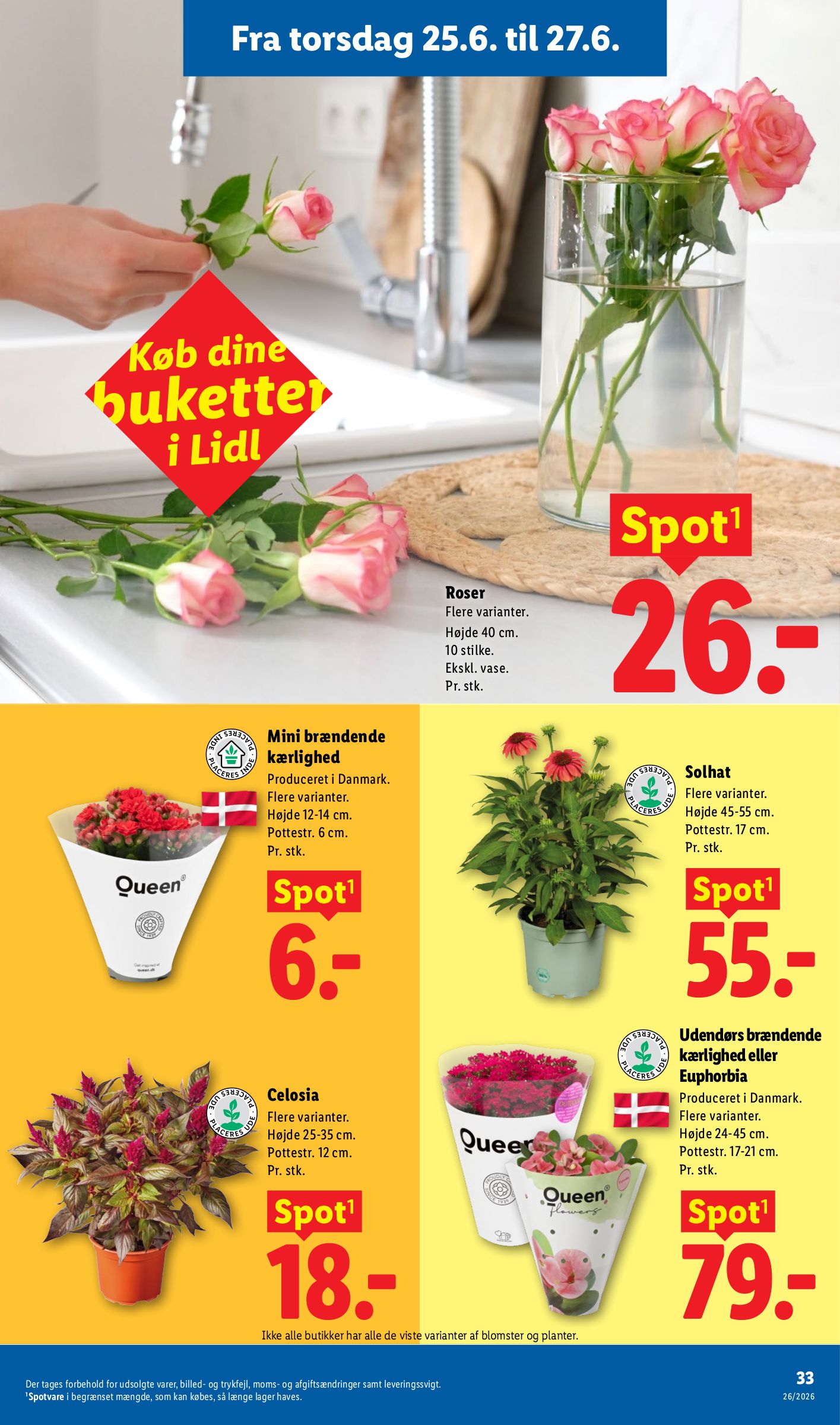 lidl - Aktuel Lidl - Ugens Nonfood tilbudsavis fra søndag, 21.06.2026 til lørdag, 27.06.2026 - page: 17