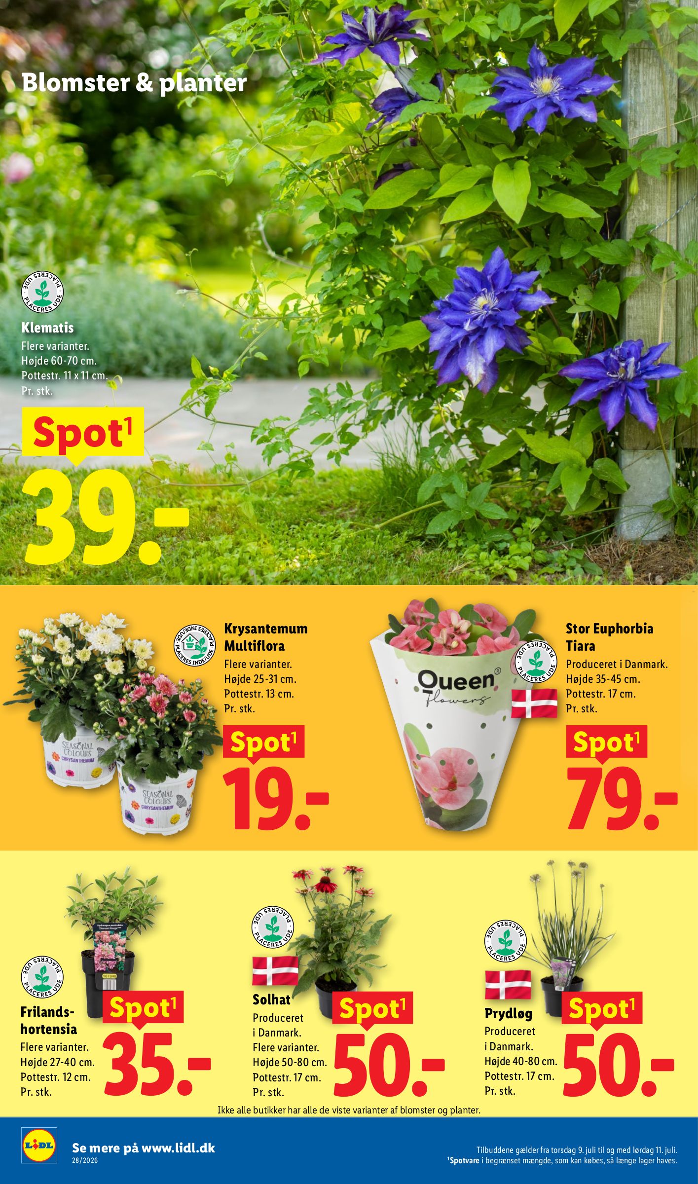lidl - Lidl tilbudsavis for næste uge fra søndag, 05.07.2026 til lørdag, 11.07.2026 - page: 36