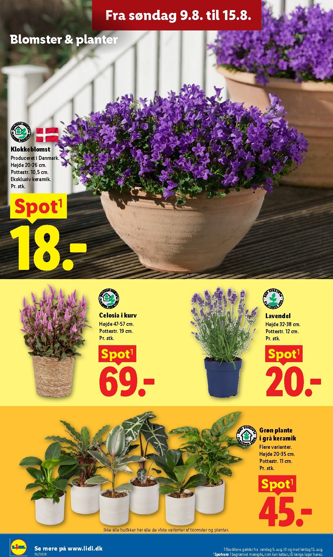 lidl - Aktuel Lidl - Weekendtilbud tilbudsavis fra torsdag, 13.08.2026 til lørdag, 15.08.2026 - page: 40