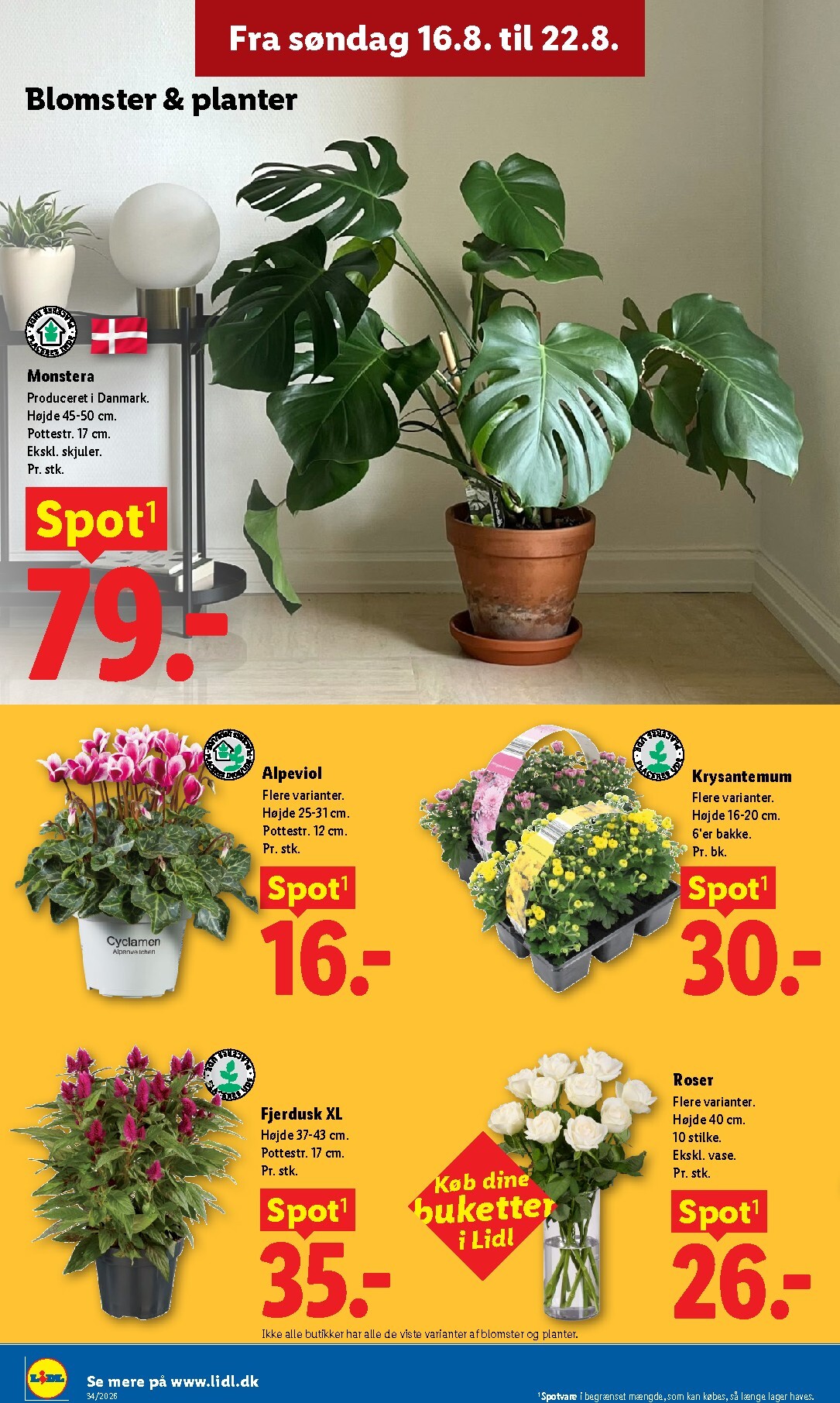 lidl - Ny Lidl - Weekendtilbud tilbudsavis fra torsdag, 20.08.2026 til lørdag, 22.08.2026 - page: 39