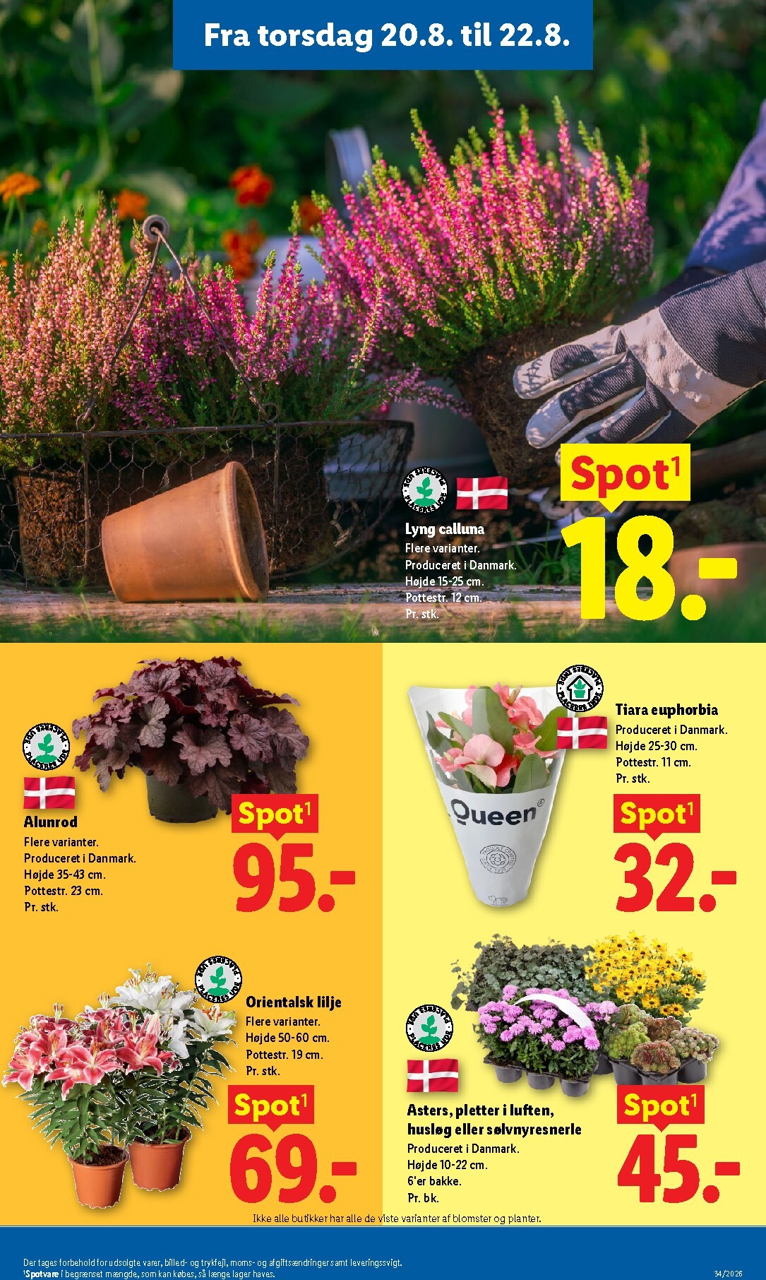 lidl - Ny Lidl - Weekendtilbud tilbudsavis fra torsdag, 20.08.2026 til lørdag, 22.08.2026 - page: 6