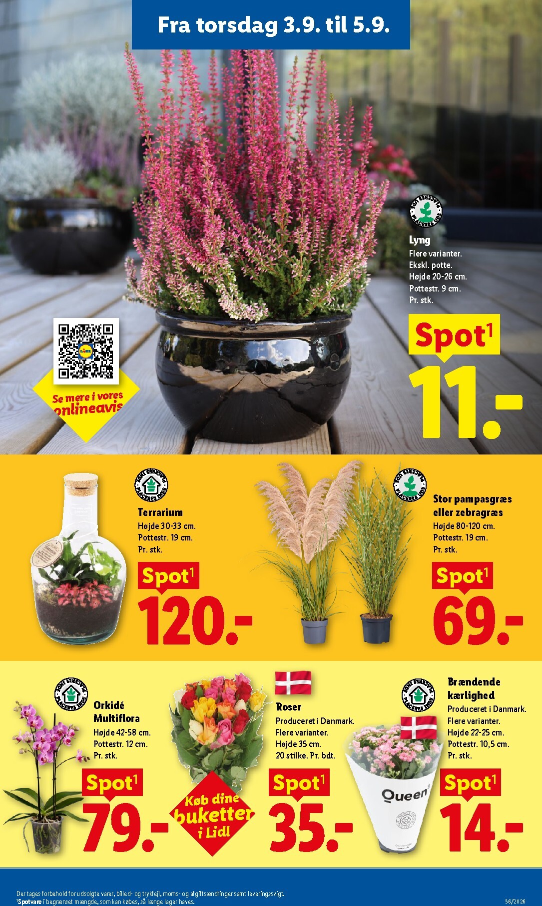 lidl - Ny Lidl - Weekendtilbud tilbudsavis fra torsdag, 03.09.2026 til lørdag, 05.09.2026 - page: 11