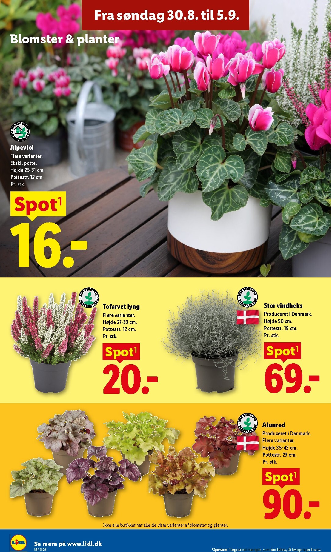 lidl - Ny Lidl - Weekendtilbud tilbudsavis fra torsdag, 03.09.2026 til lørdag, 05.09.2026 - page: 38