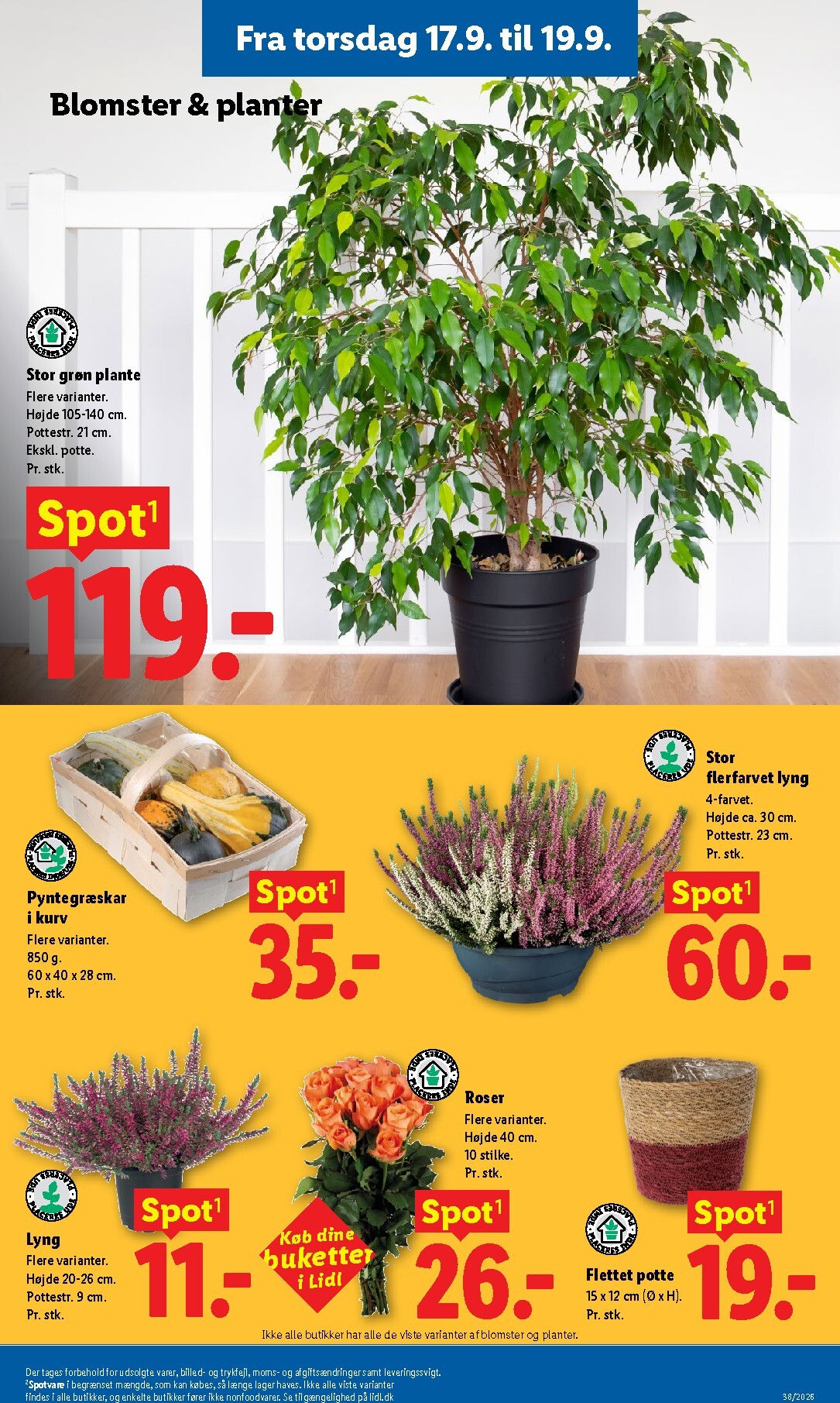 lidl - Lidl tilbudsavis for næste uge fra søndag, 13.09.2026 til lørdag, 19.09.2026 - page: 25