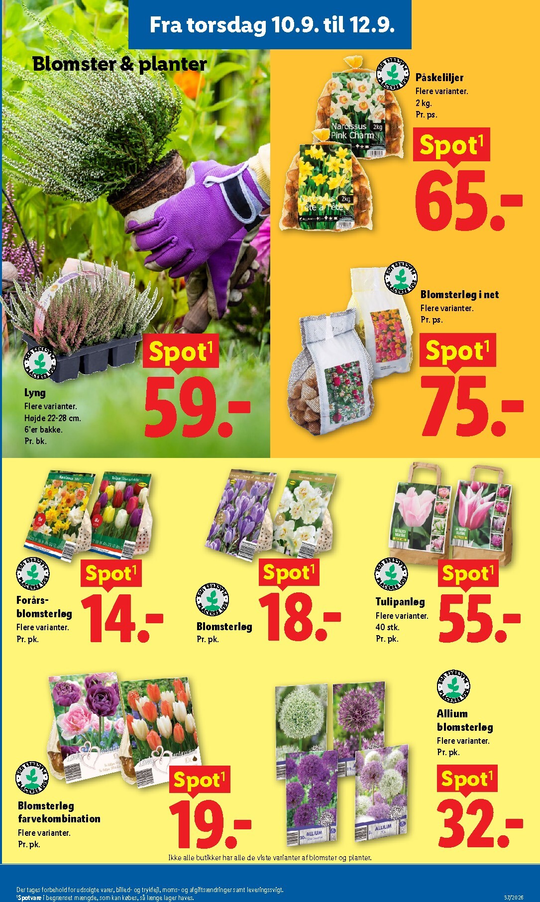 lidl - Ny Lidl - Weekendtilbud tilbudsavis fra torsdag, 10.09.2026 til lørdag, 12.09.2026 - page: 6