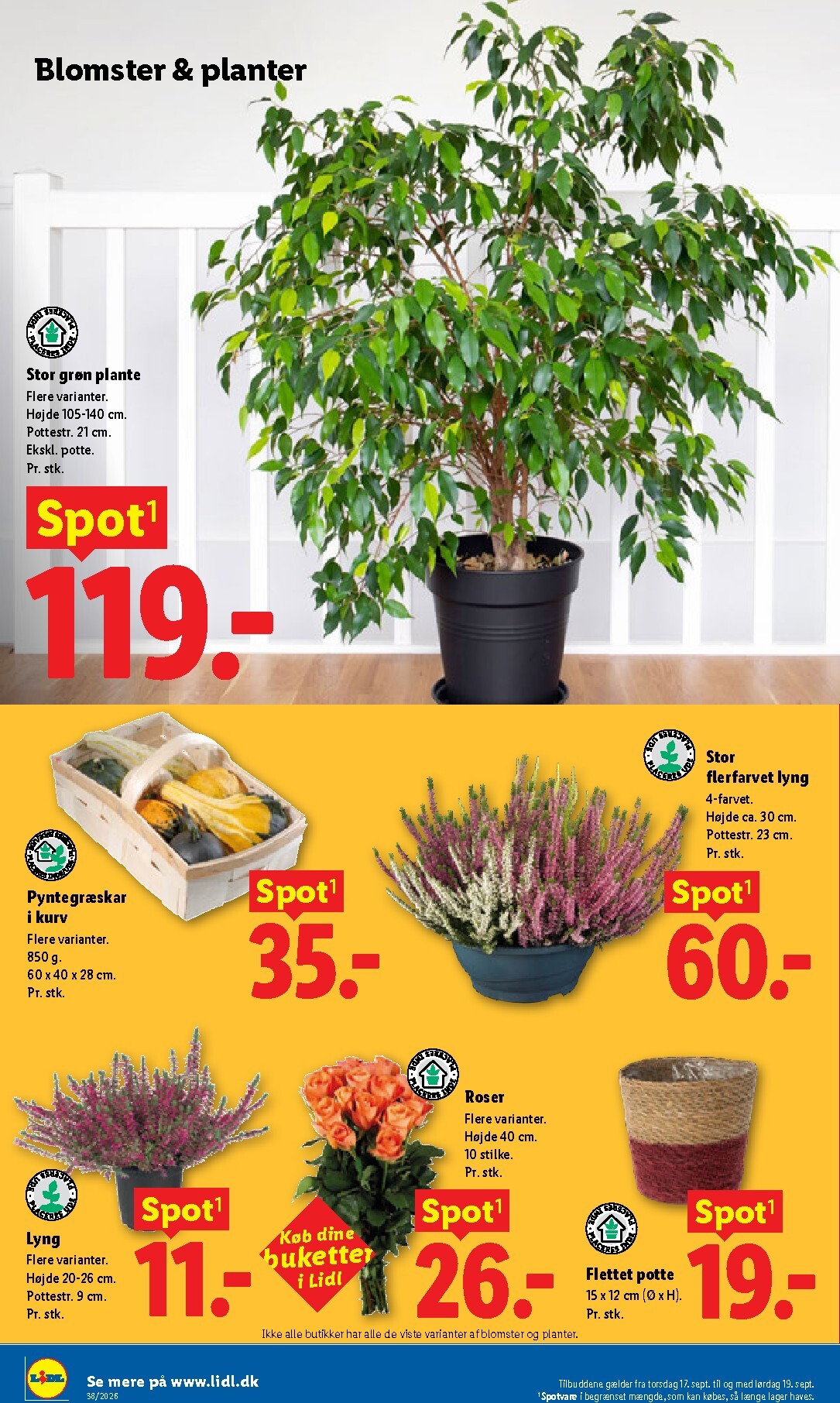 lidl - Ny Lidl - Weekendtilbud tilbudsavis fra torsdag, 17.09.2026 til lørdag, 19.09.2026 - page: 7