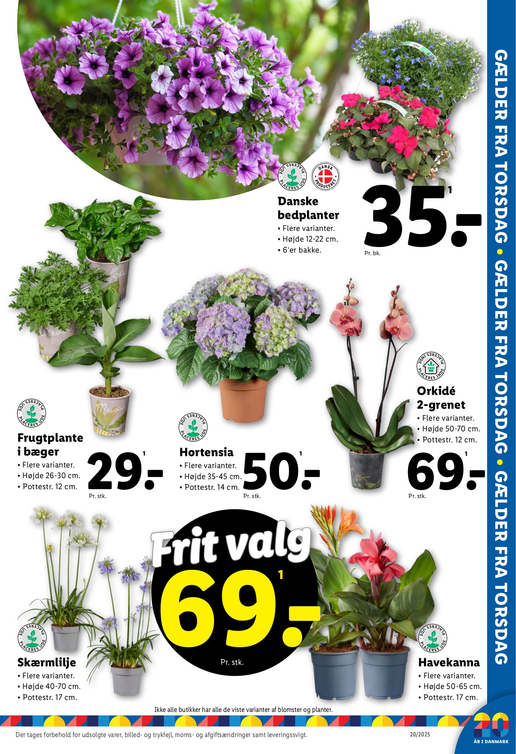 lidl - Lidl tilbudsavis gyldig fra 11.05. - 17.05. - page: 33
