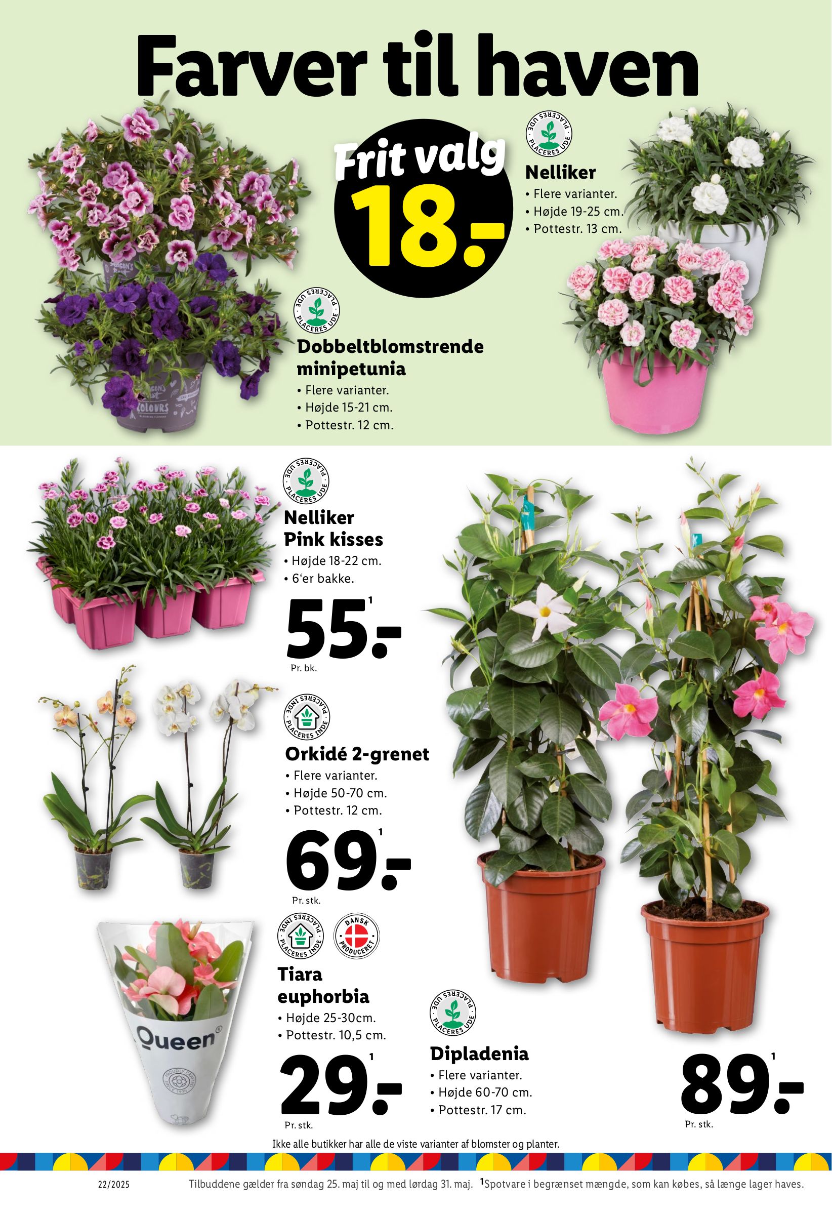 lidl - Lidl tilbudsavis gyldig fra 25.05. - 31.05. - page: 16