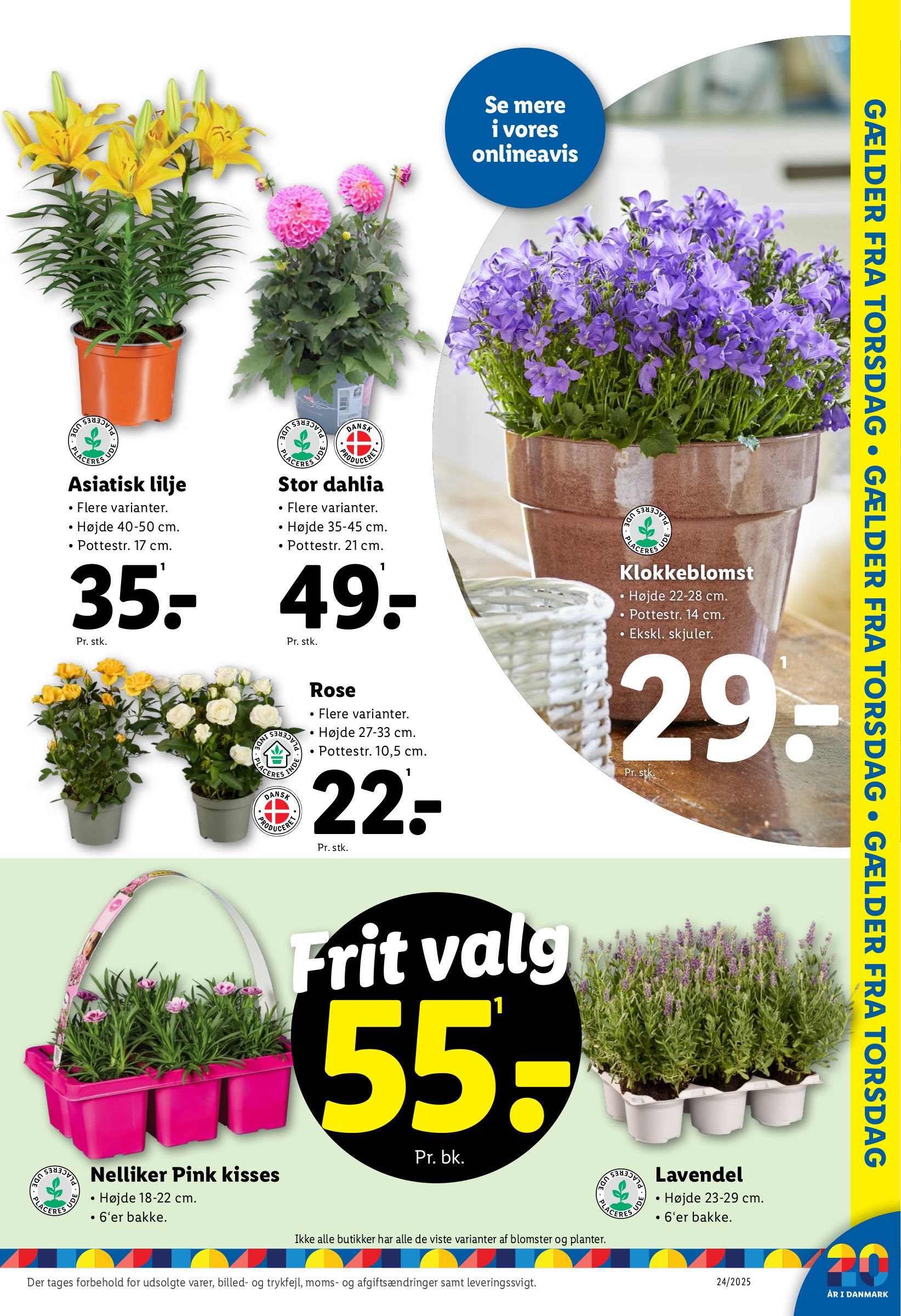 lidl - Lidl tilbudsavis gyldig fra 10.06. til 14.06. - page: 32 lidl - Lidl tilbudsavis gyldig fra 10.06. til 14.06. - page: 32